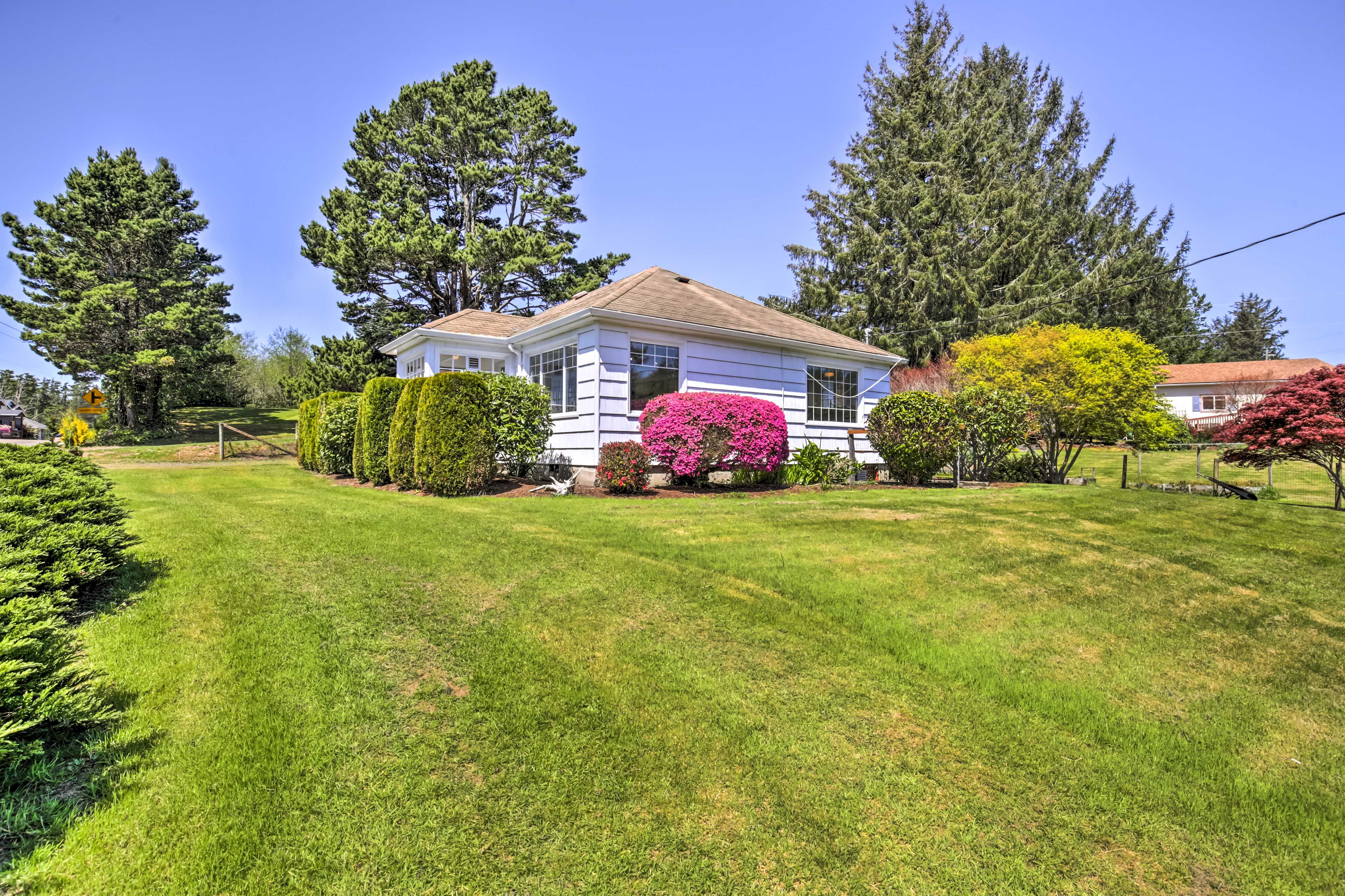 Spacious Yard | Garden