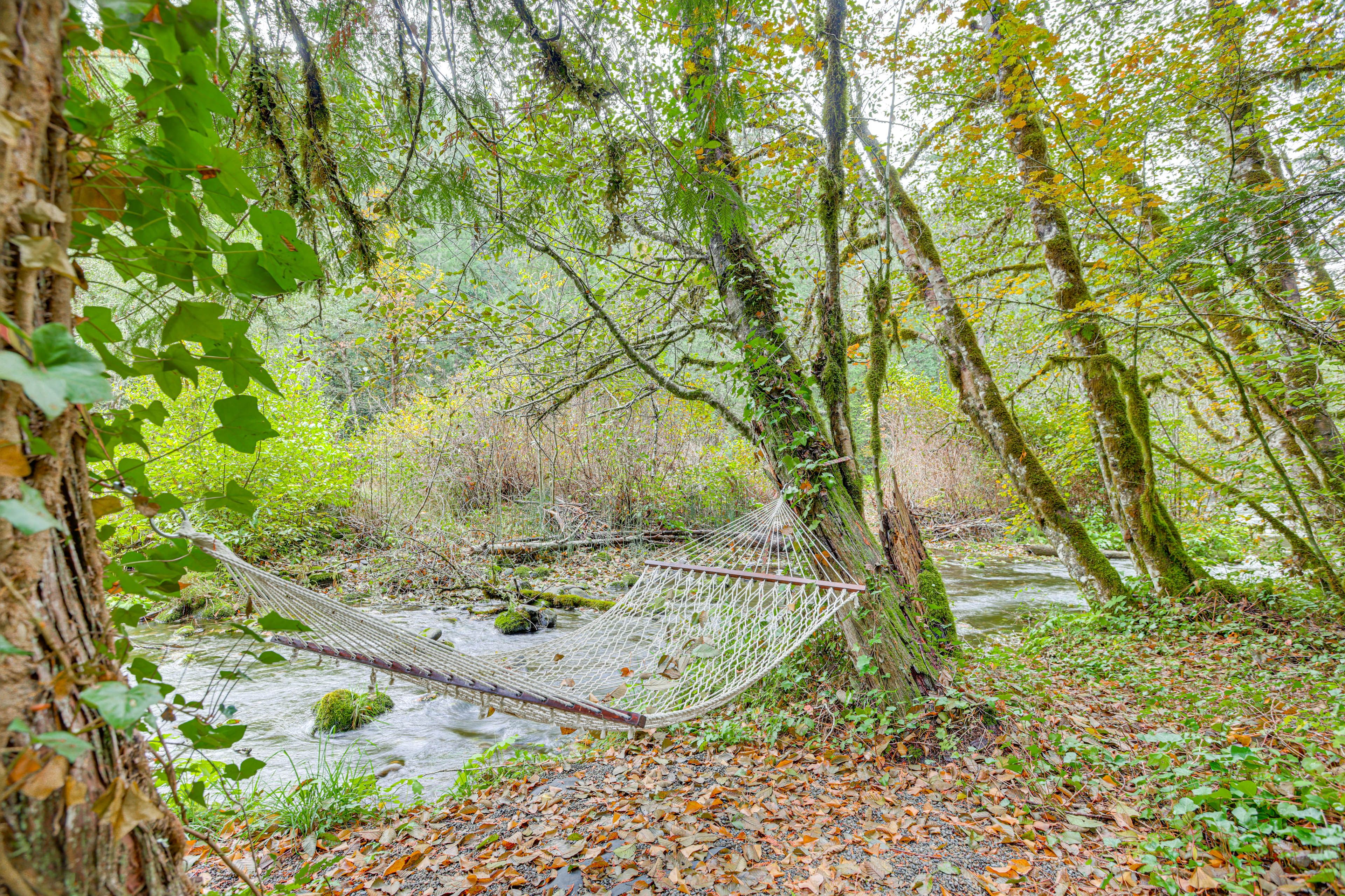 McKenzie River