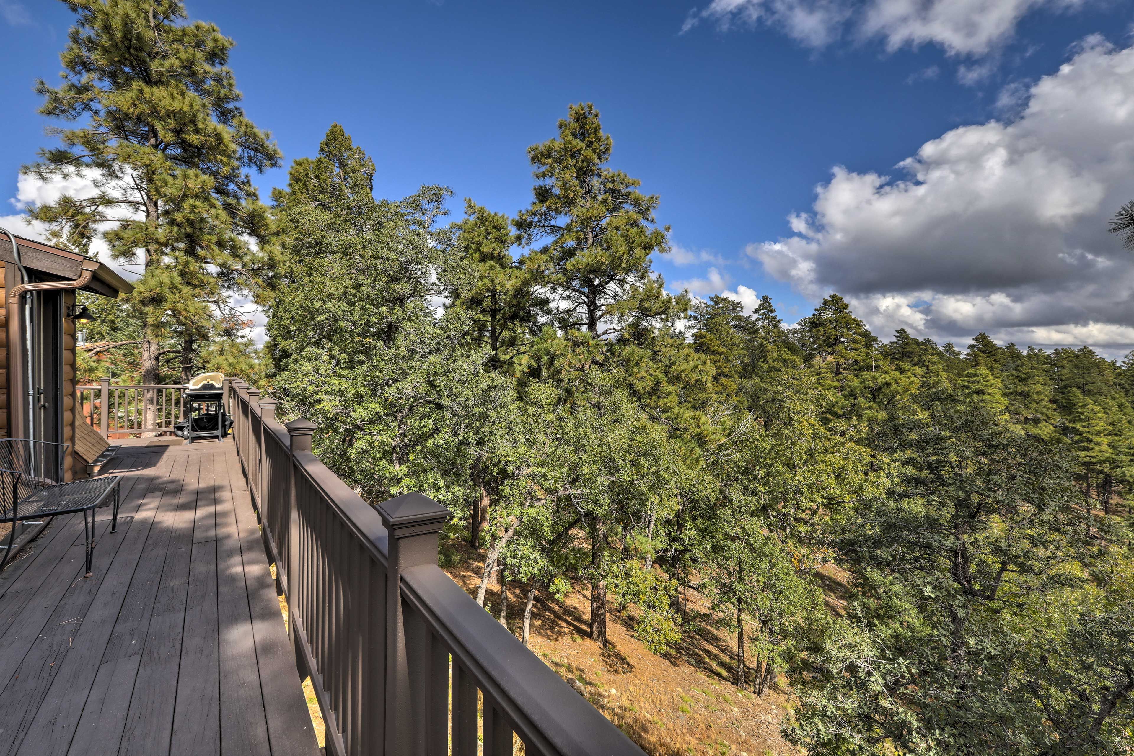 Stunning forest and mountain vistas await at this vacation rental.