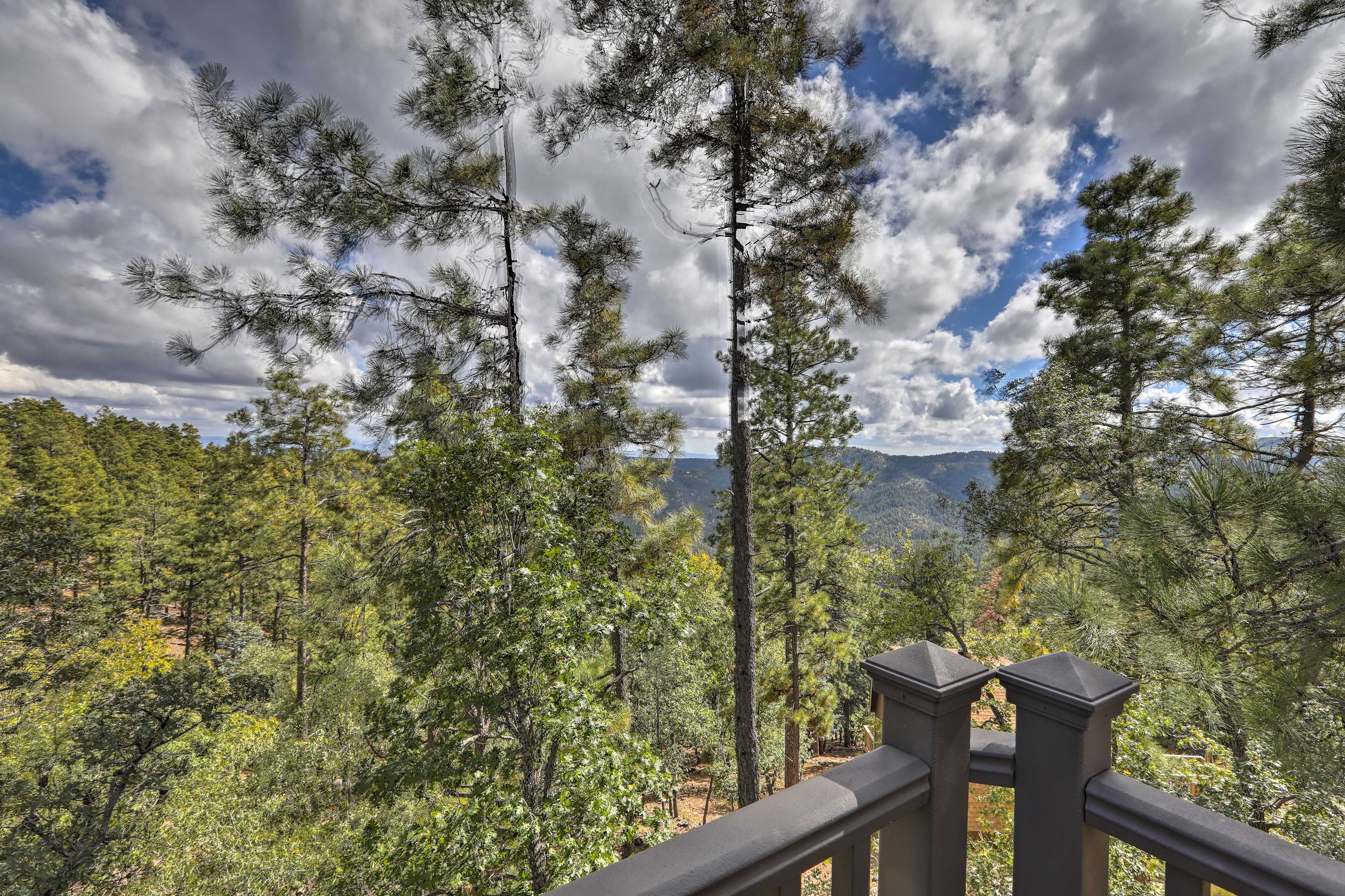 Hiking, fishing, mountain biking, and horesback riding are minutes away!