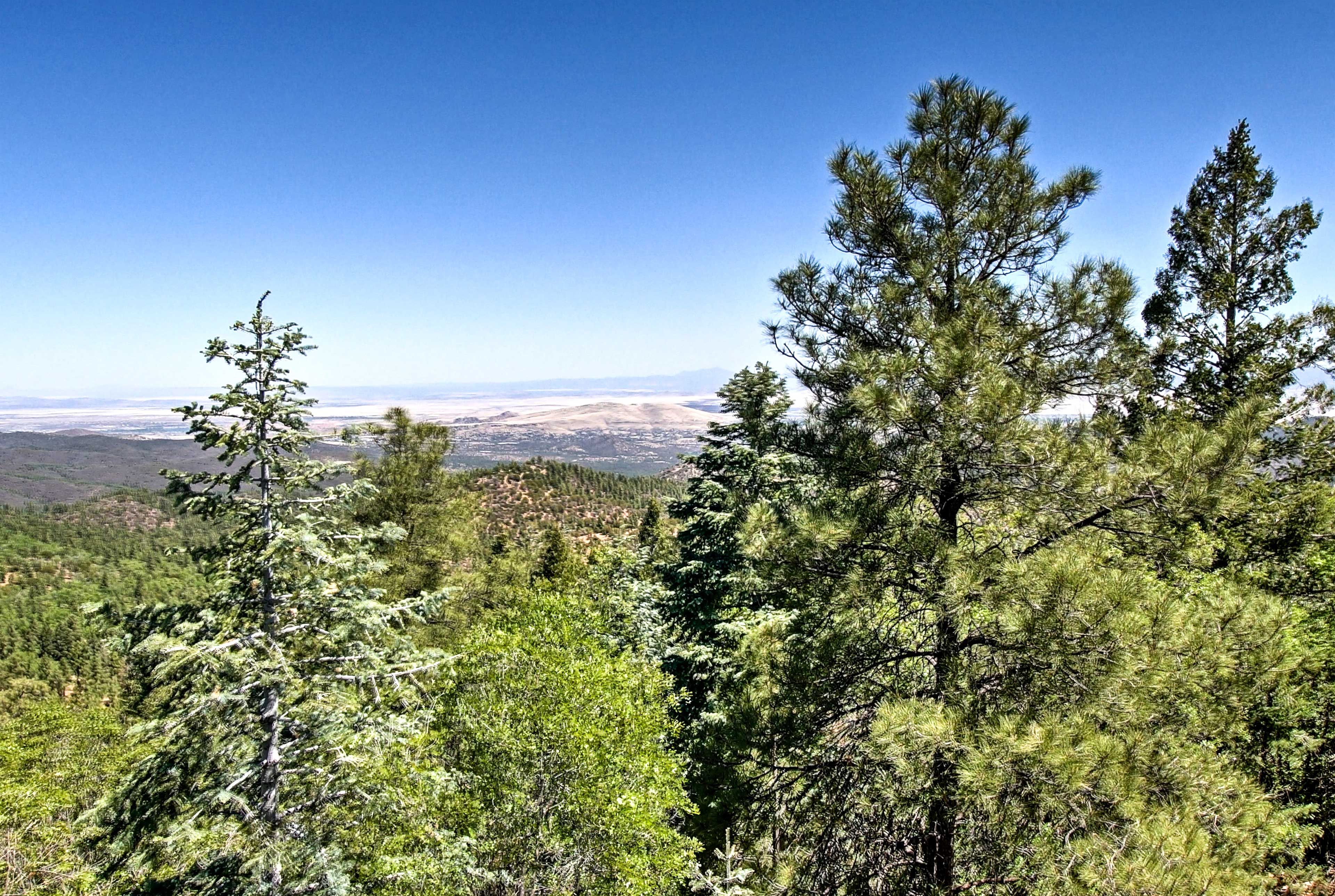 Hiking, mountain biking, fishing and more are just steps away from this property!