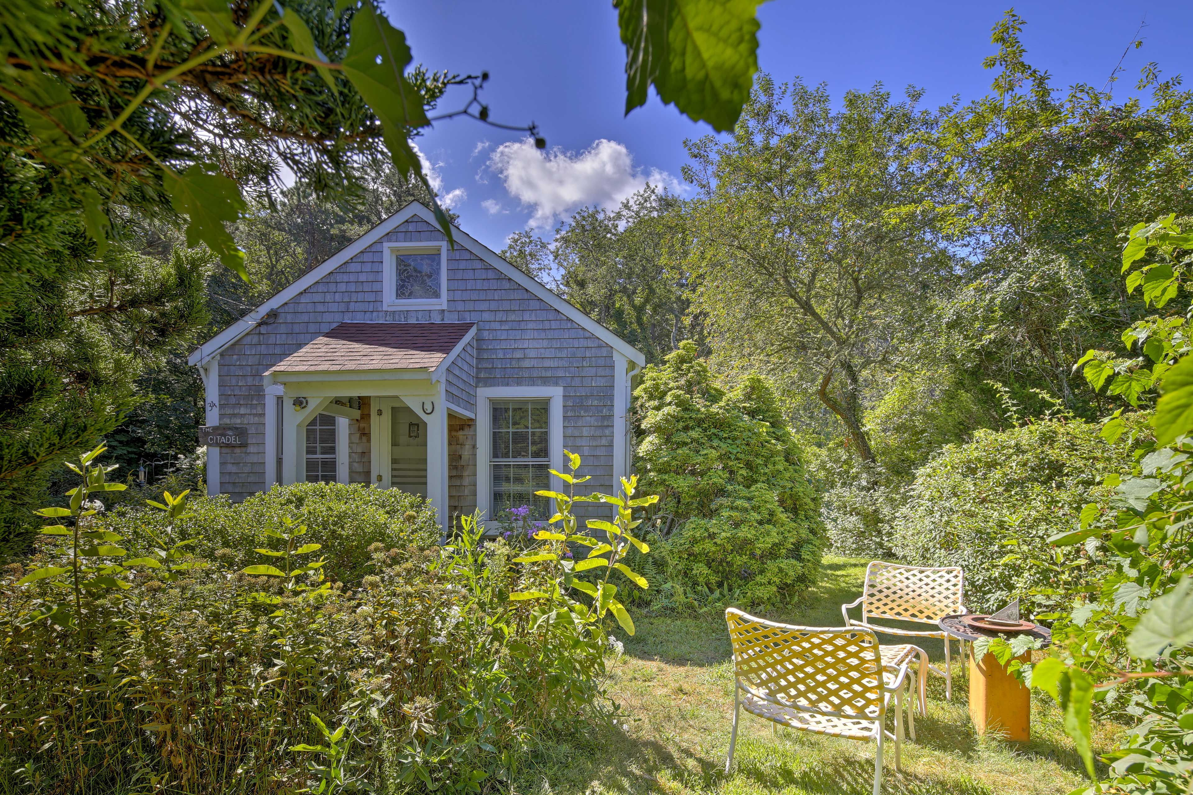 Lush foliage surrounds the property.