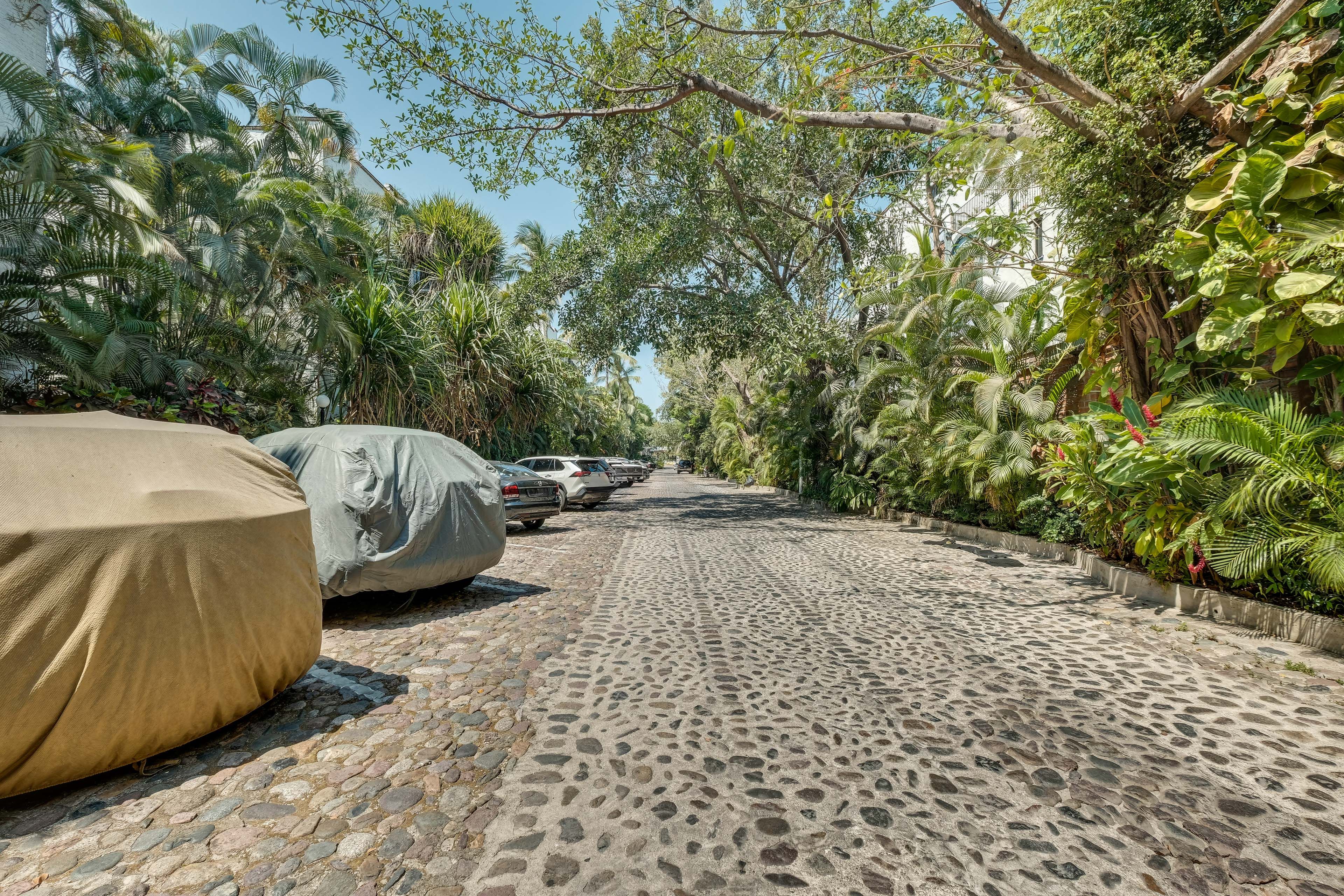 Parking | Designated Spot (1 Vehicle)