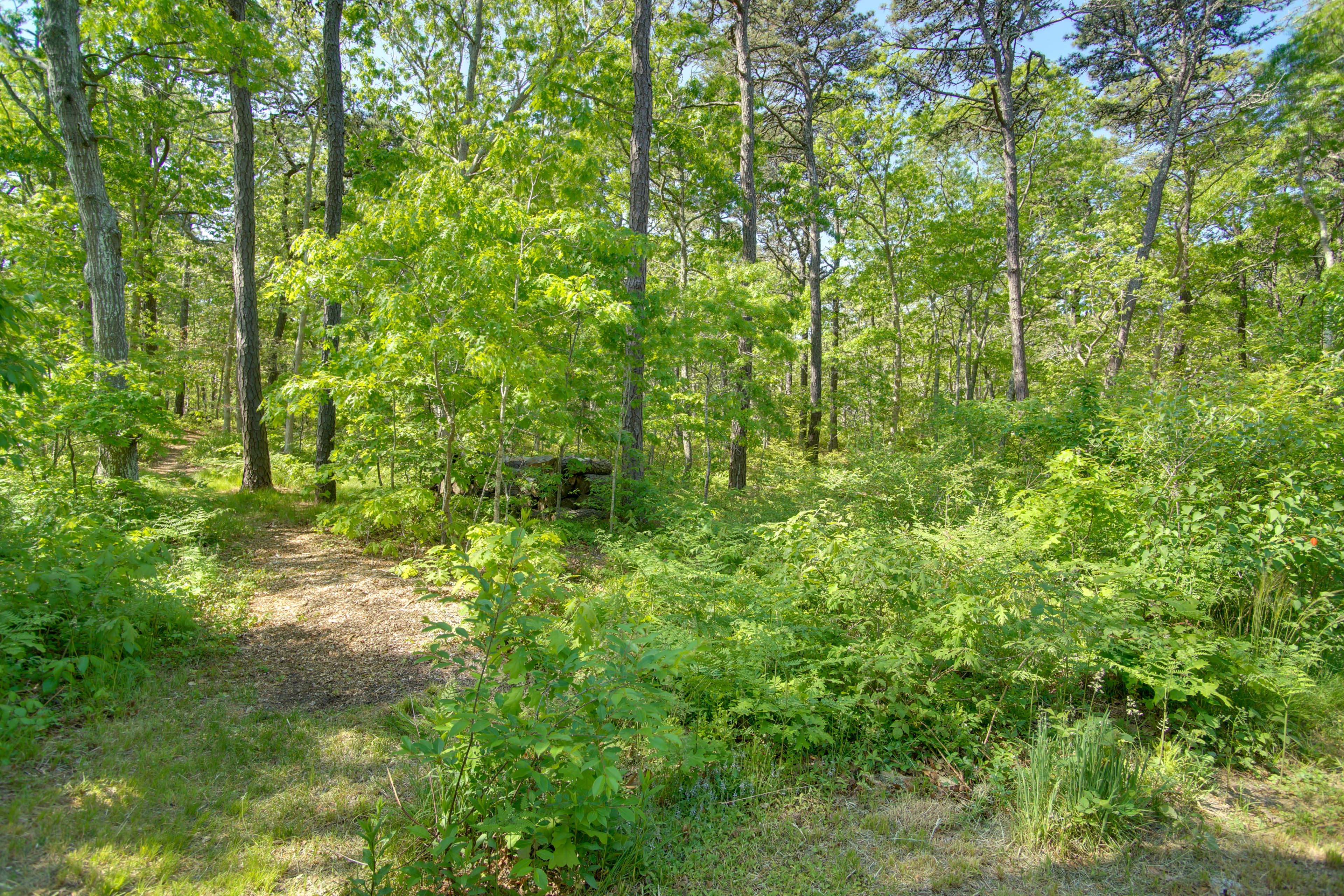 Image 21