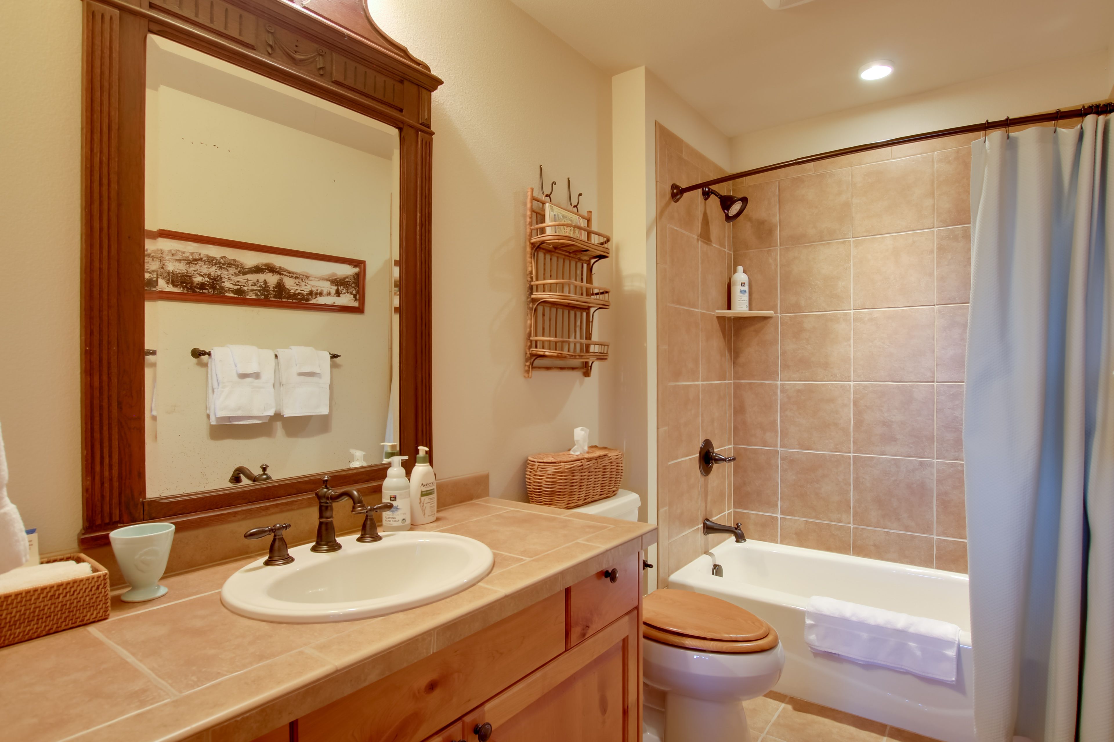 Full Bathroom | Lower Level