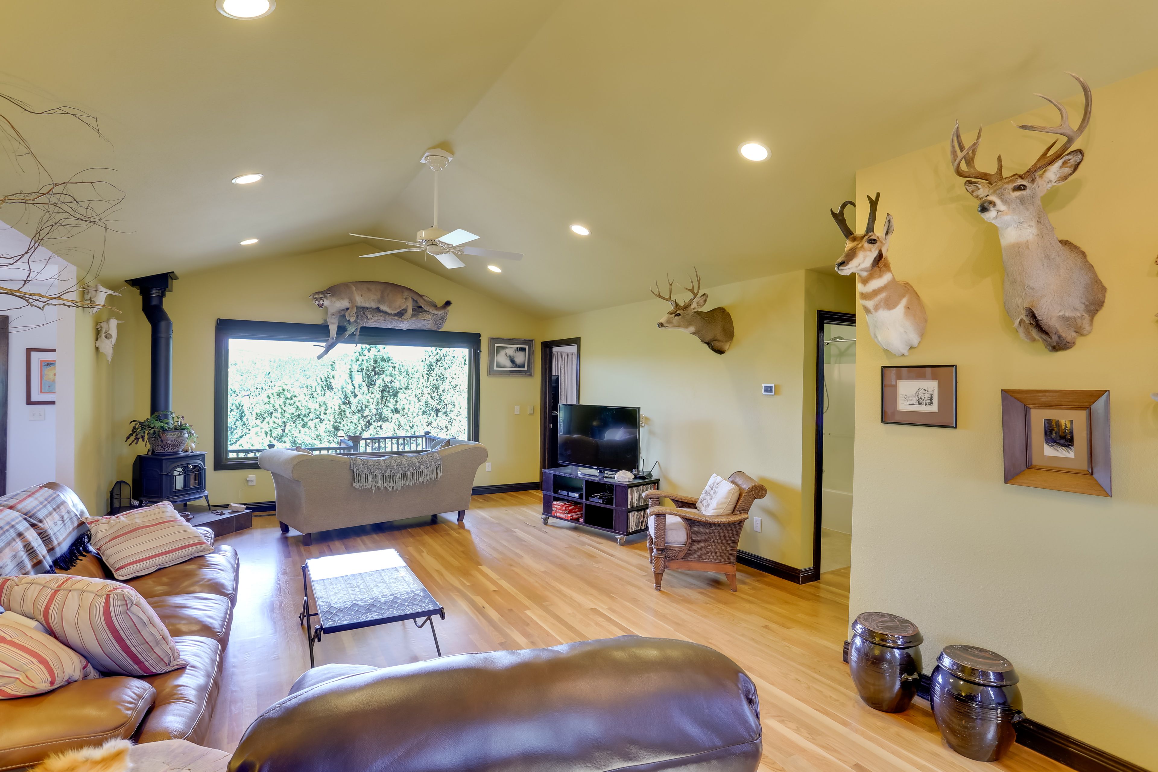 Living Room | Free WiFi | Cable TV | Central A/C & Heat