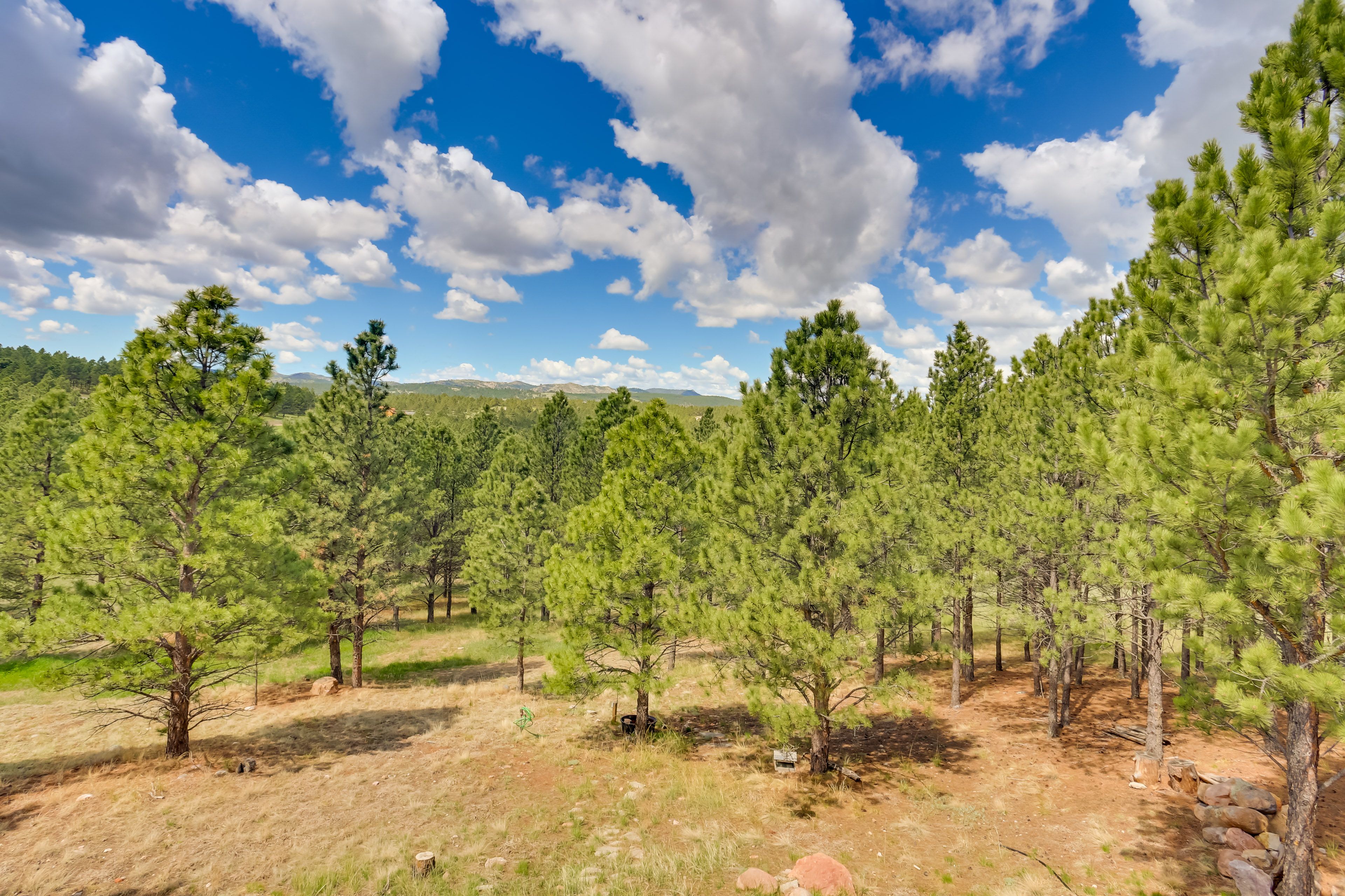 Property Views