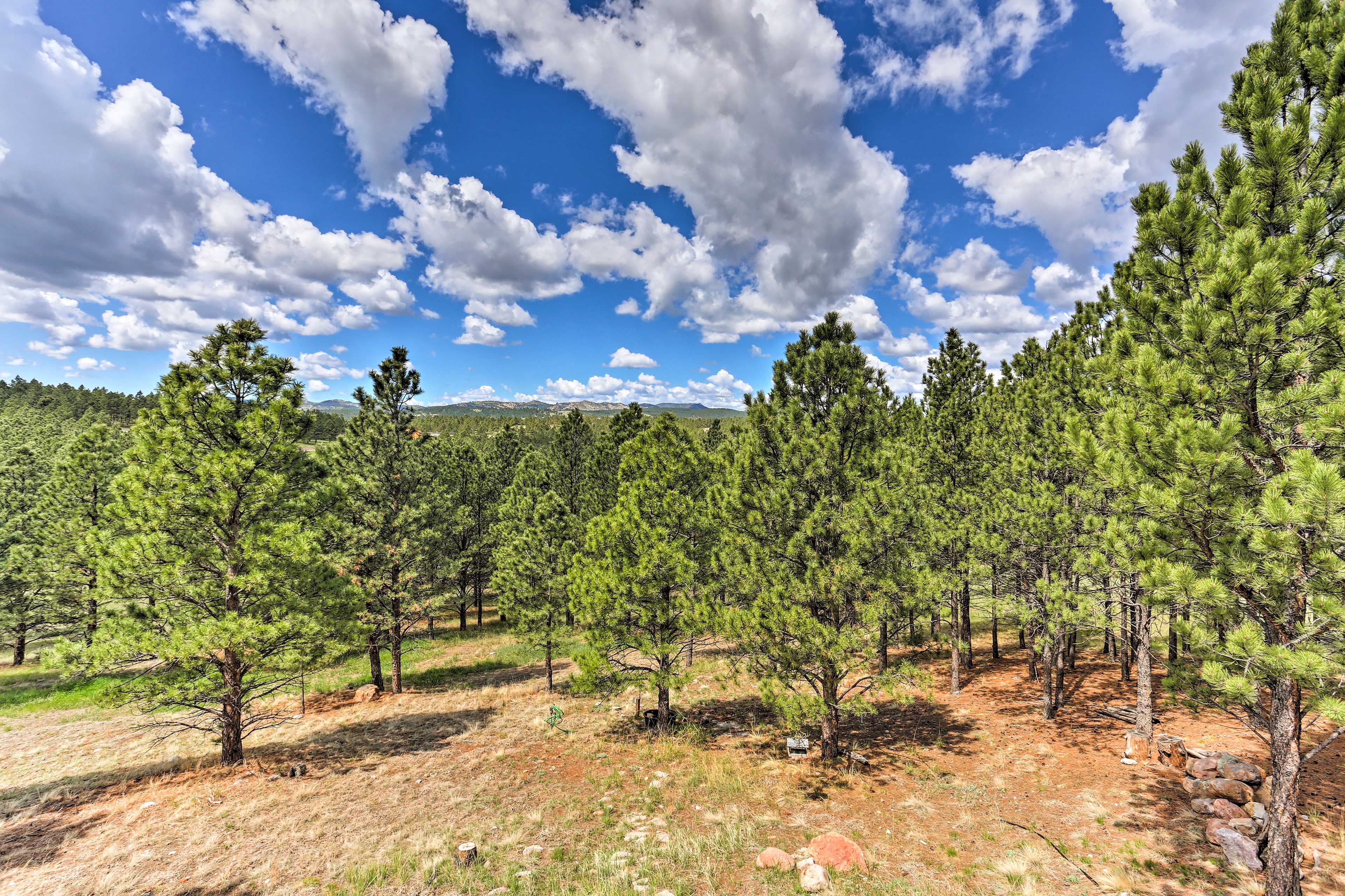 Property Views