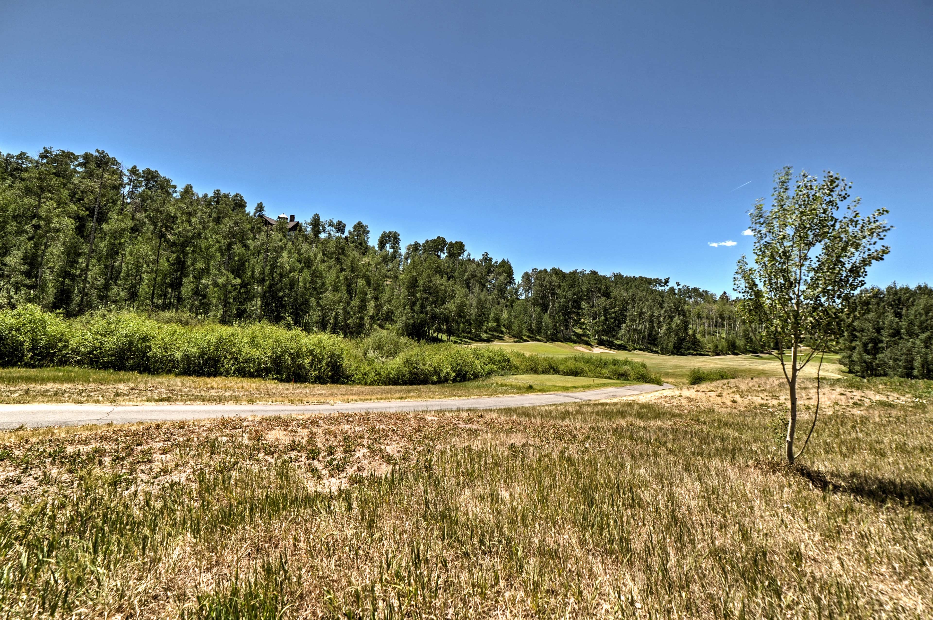 Surrounding Area