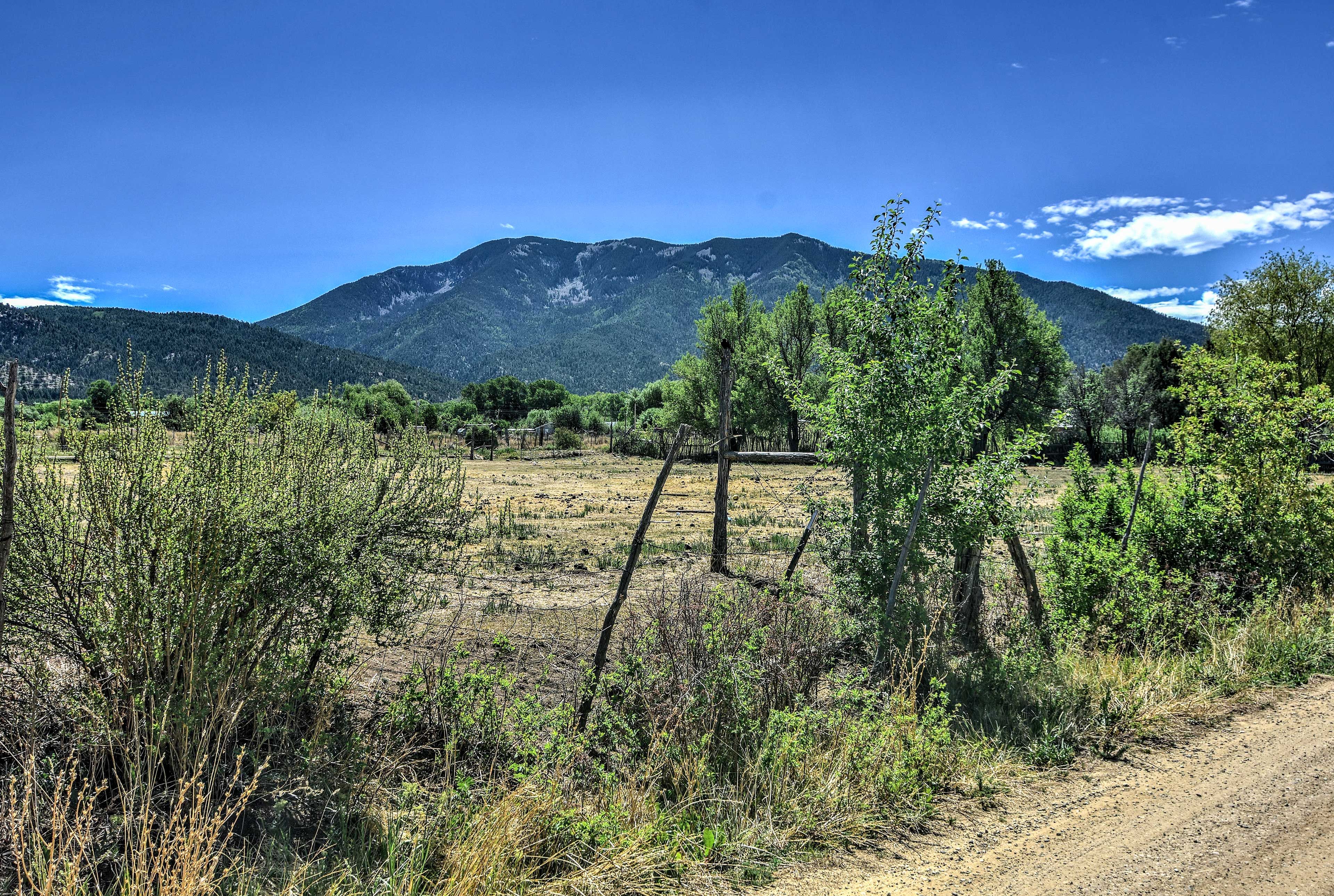 Mountain Views