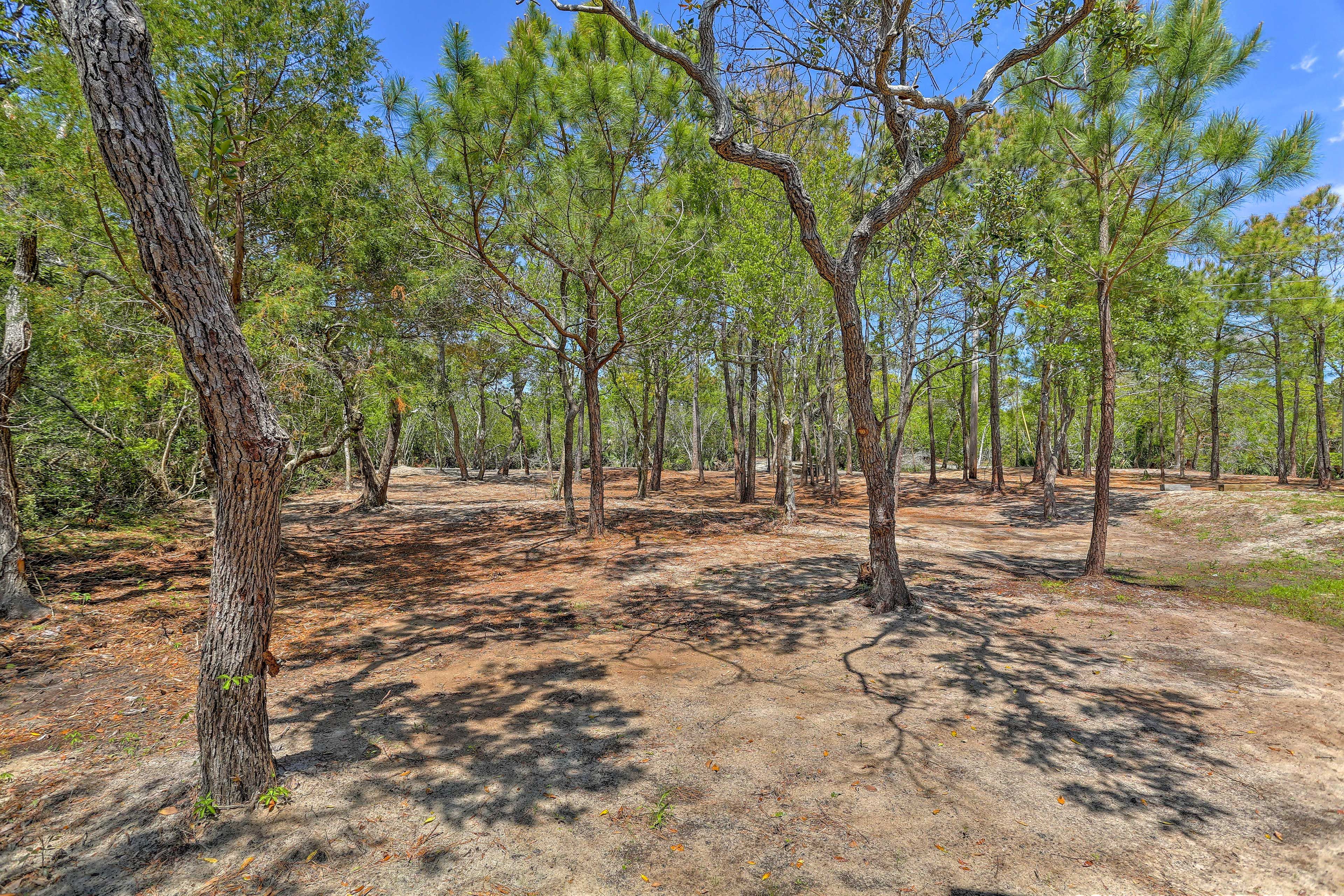 Surrounding Area