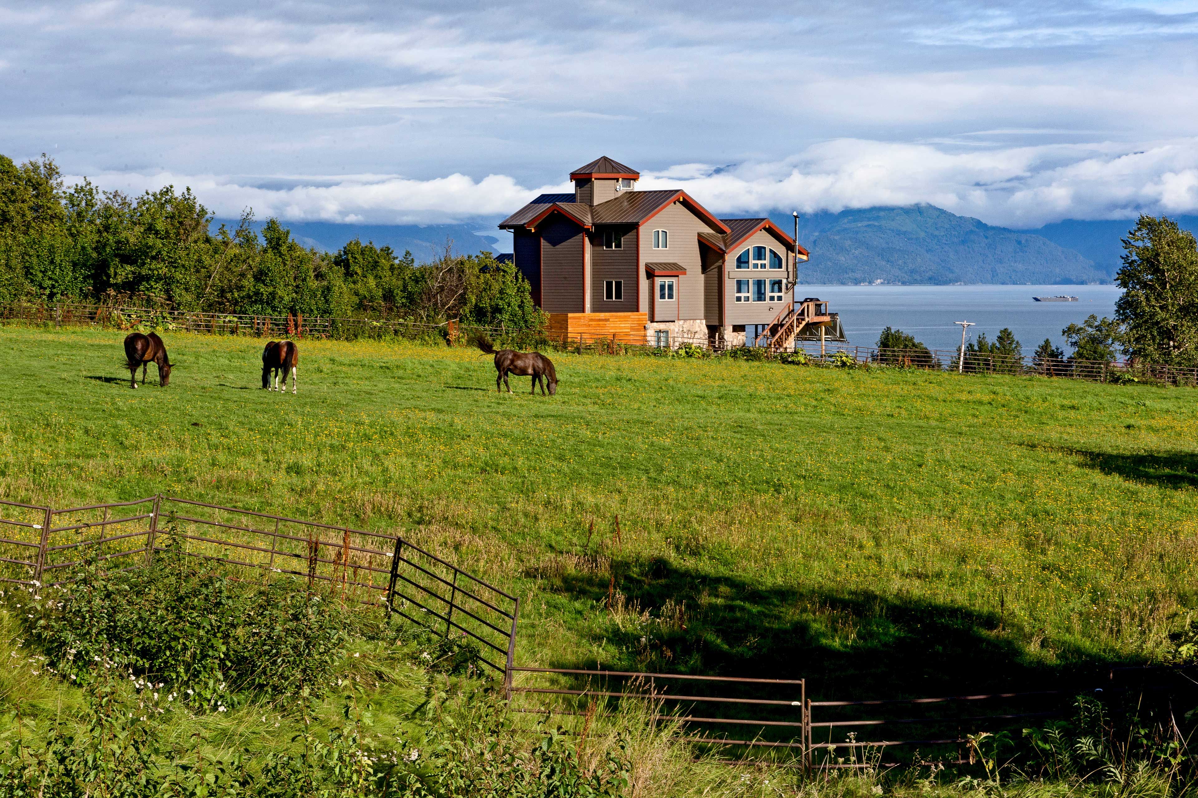 Spacious Yard