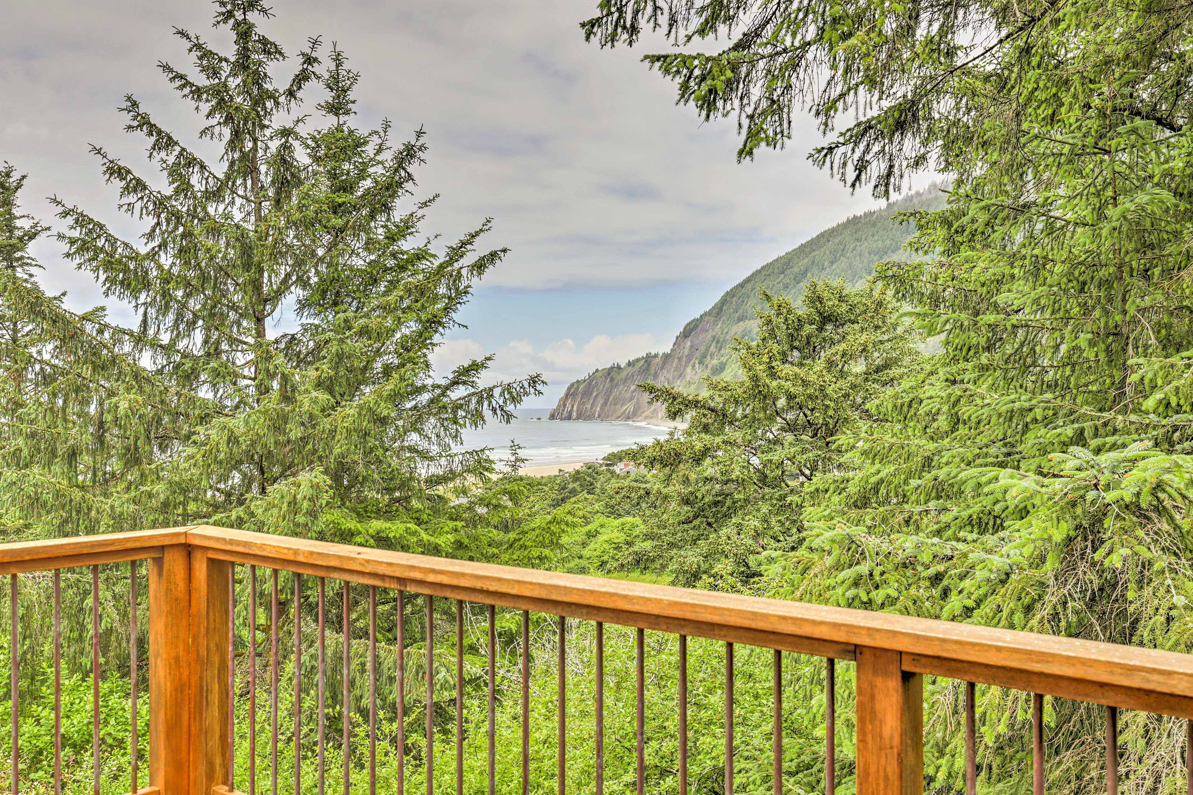 Deck Views