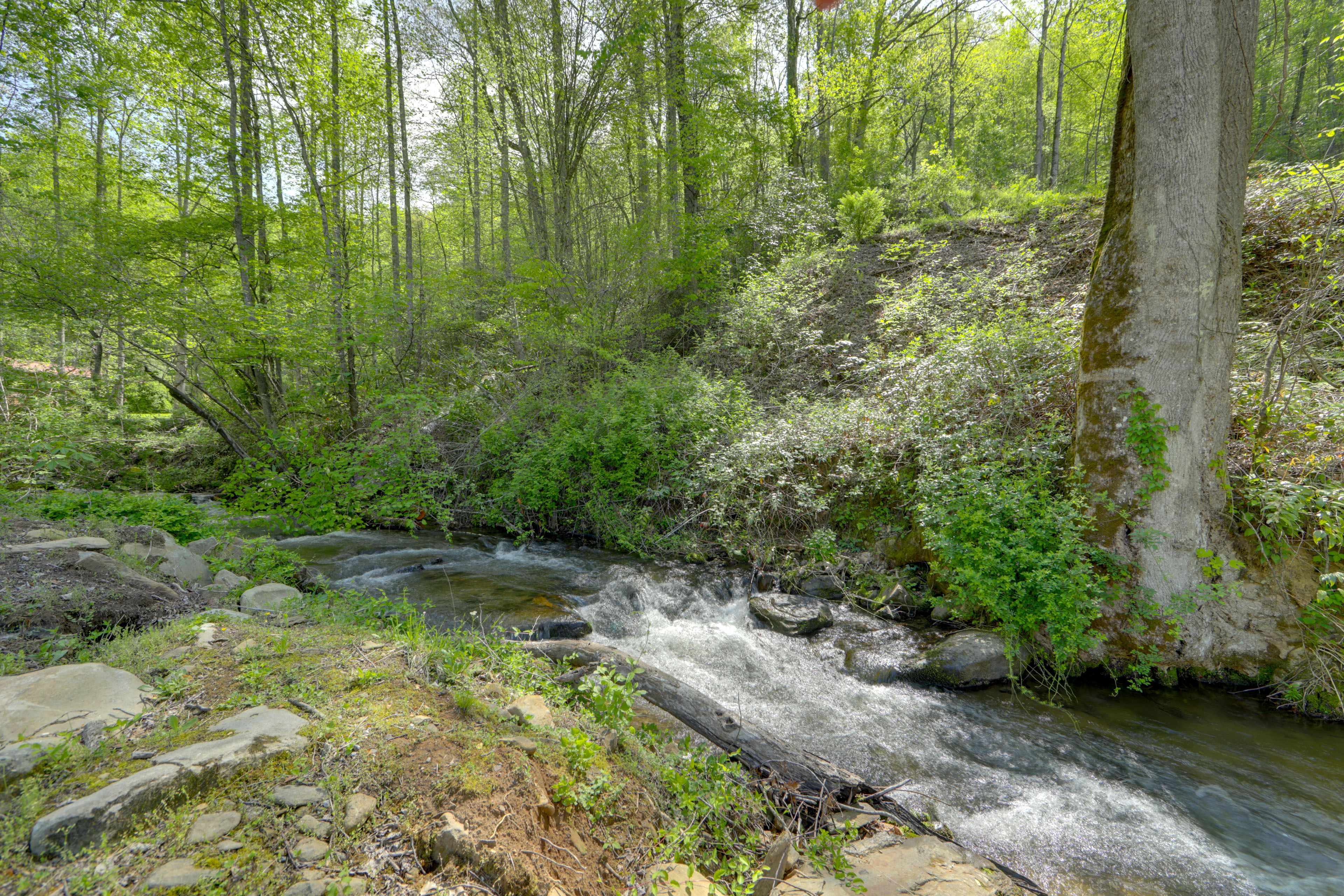 Image 33