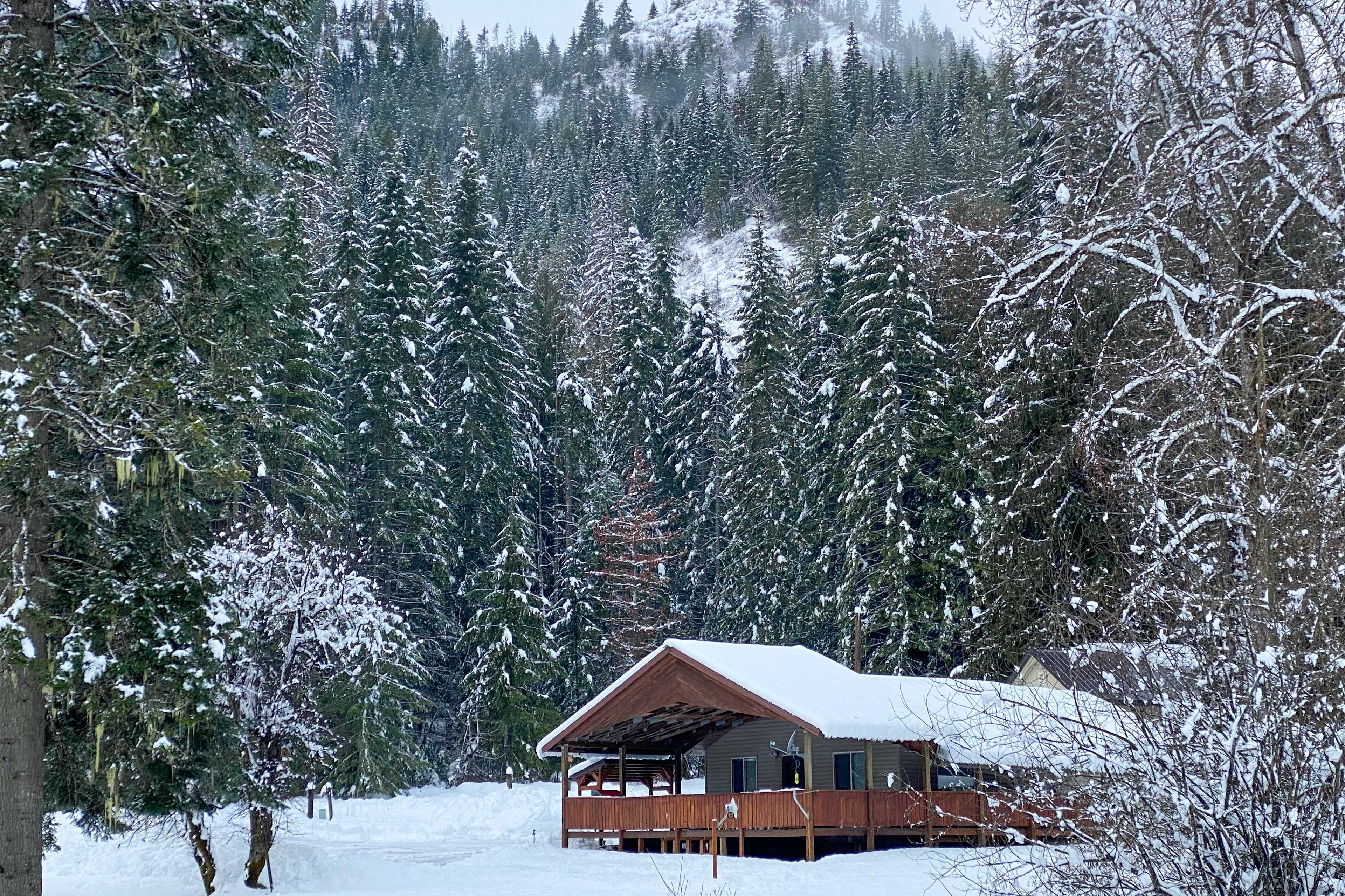 Cabin Exterior