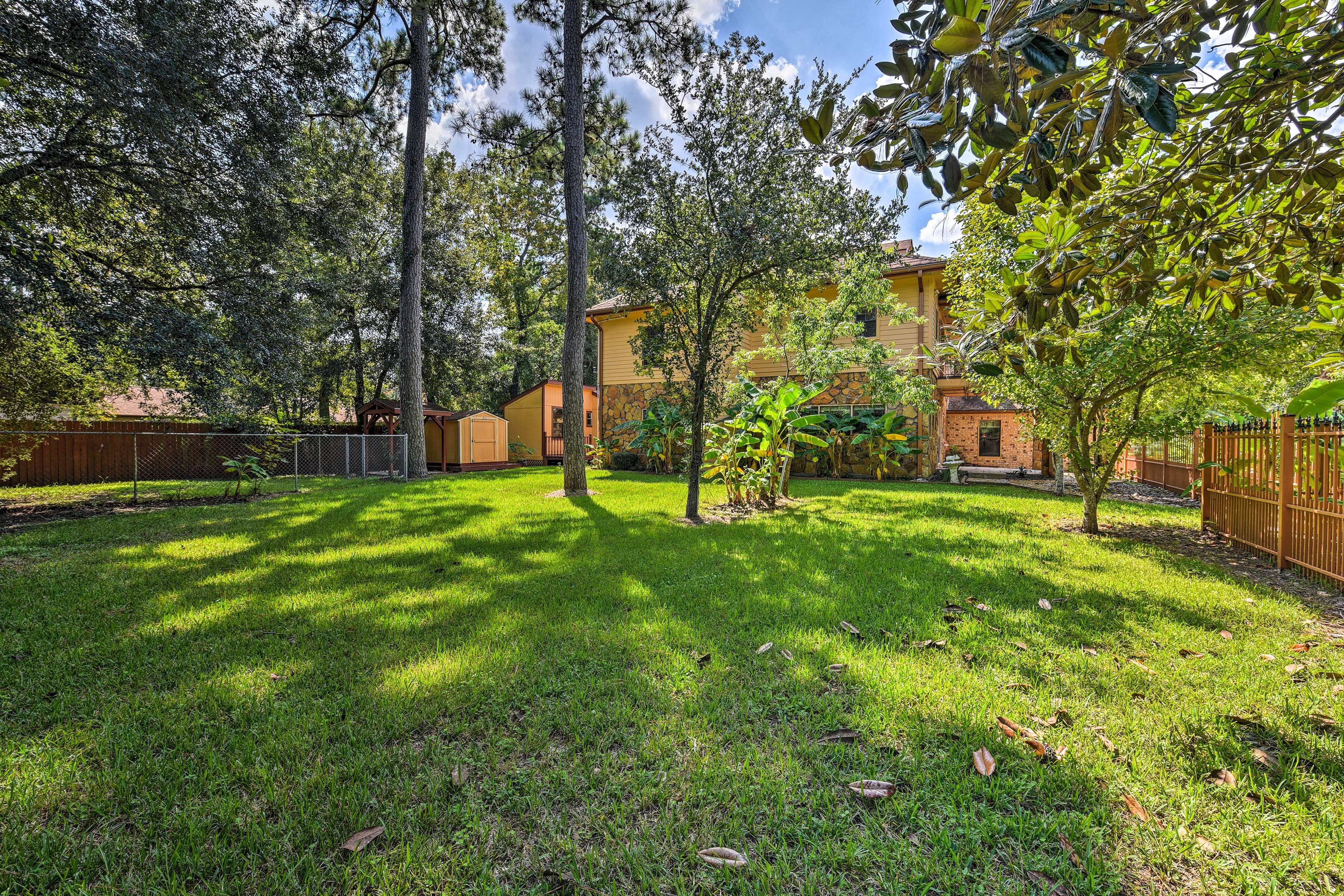Backyard | Fenced-In Yard