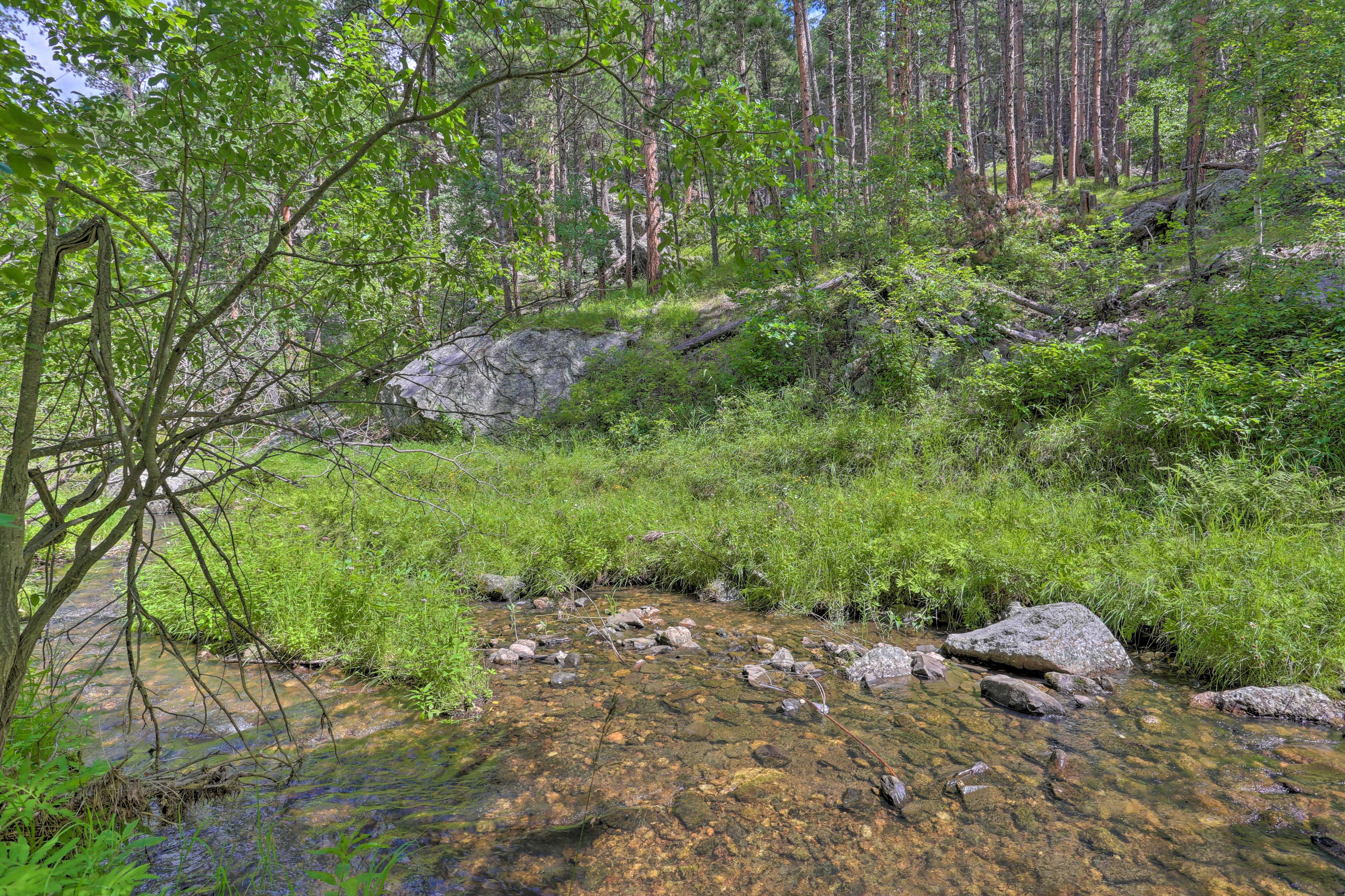Creek On-Site