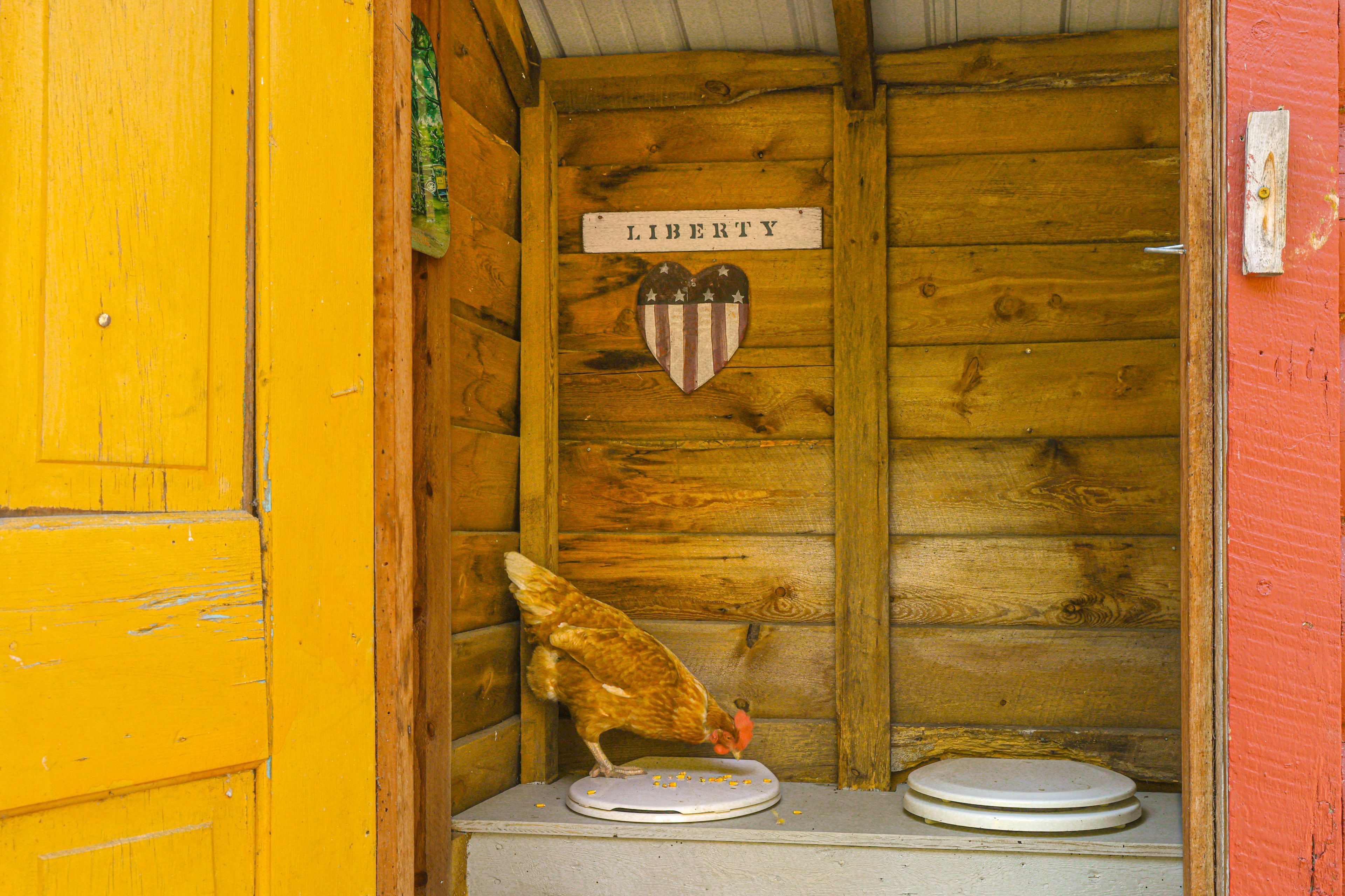 Image 36