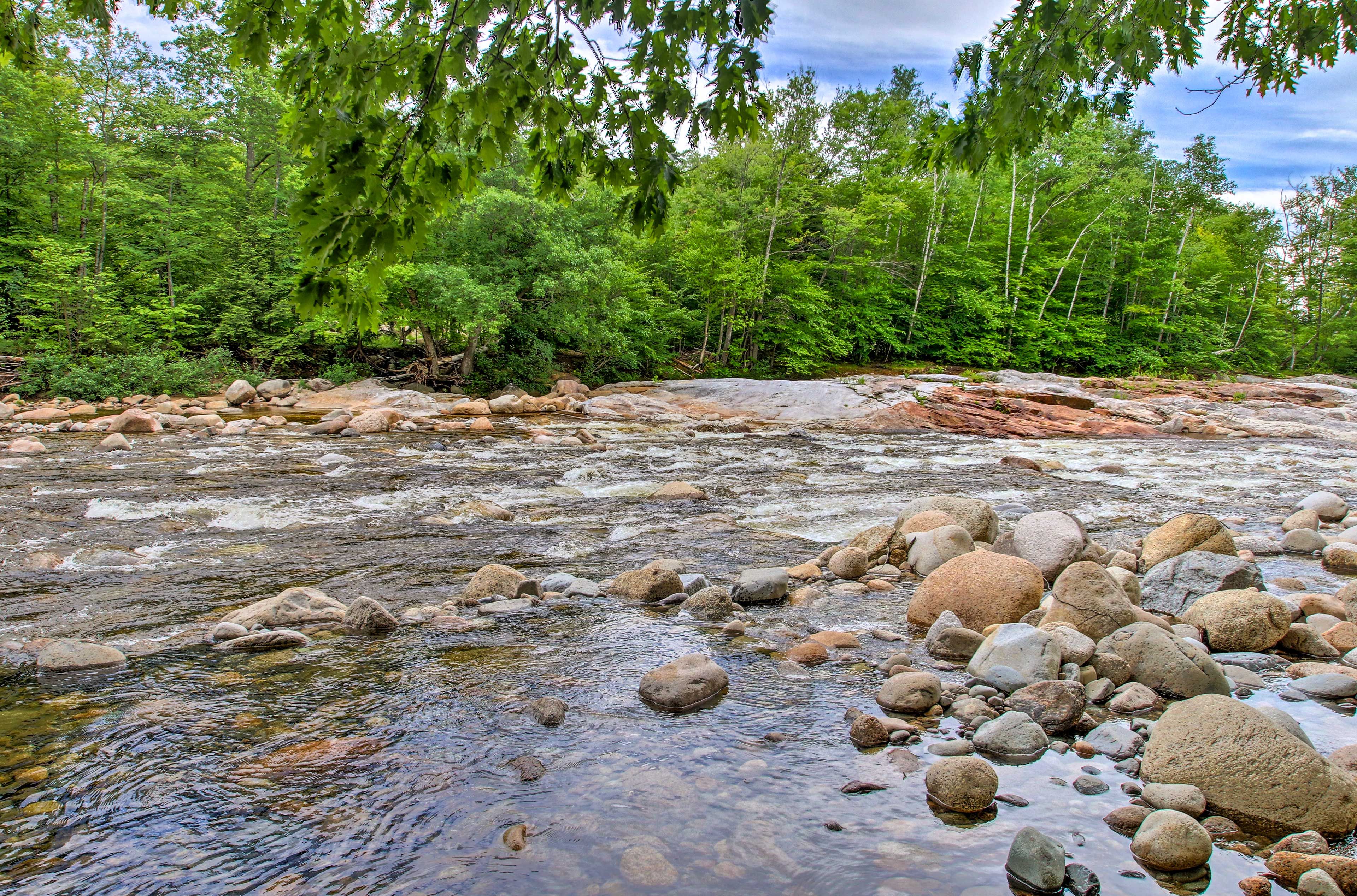 Image 36