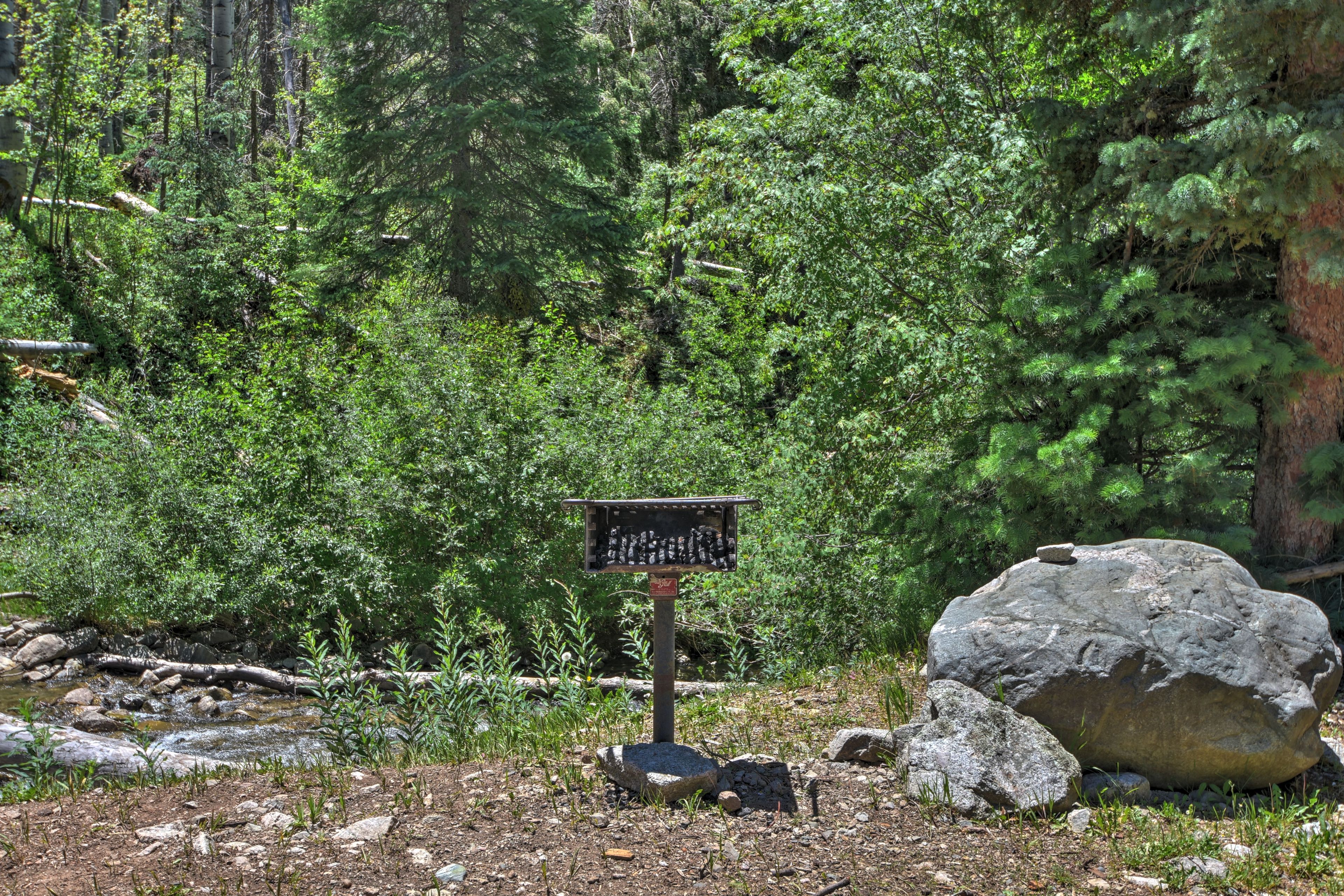 Community Exterior | Shared Grill | River Access