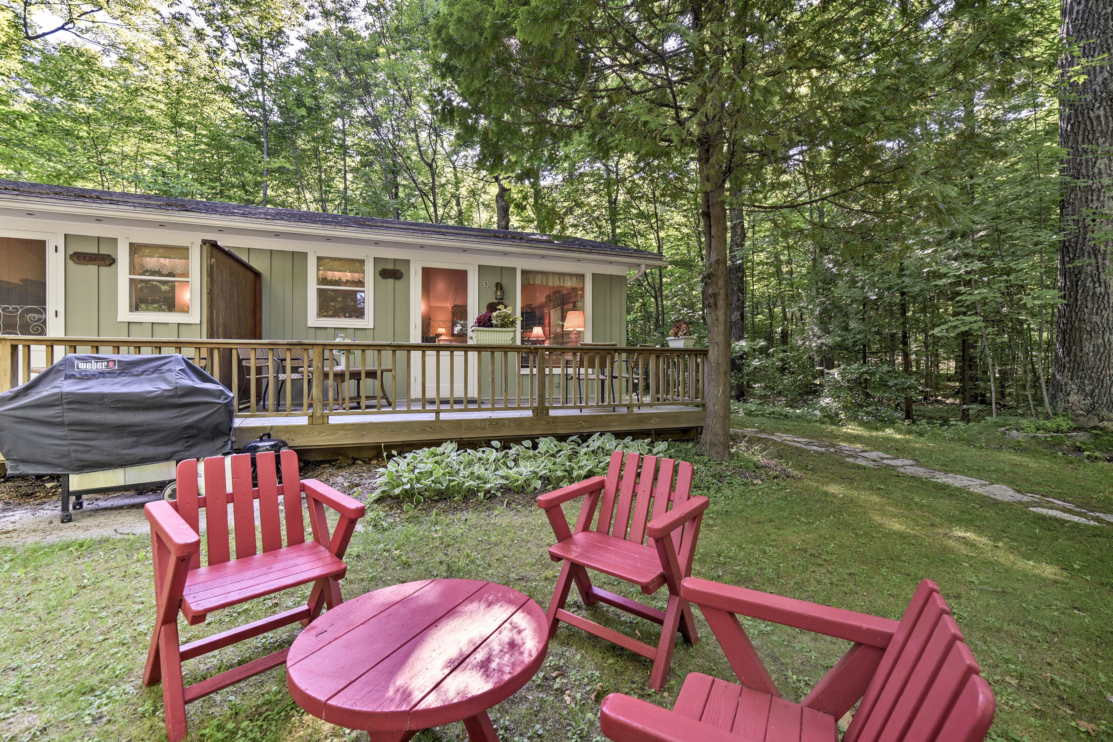 Shared Backyard