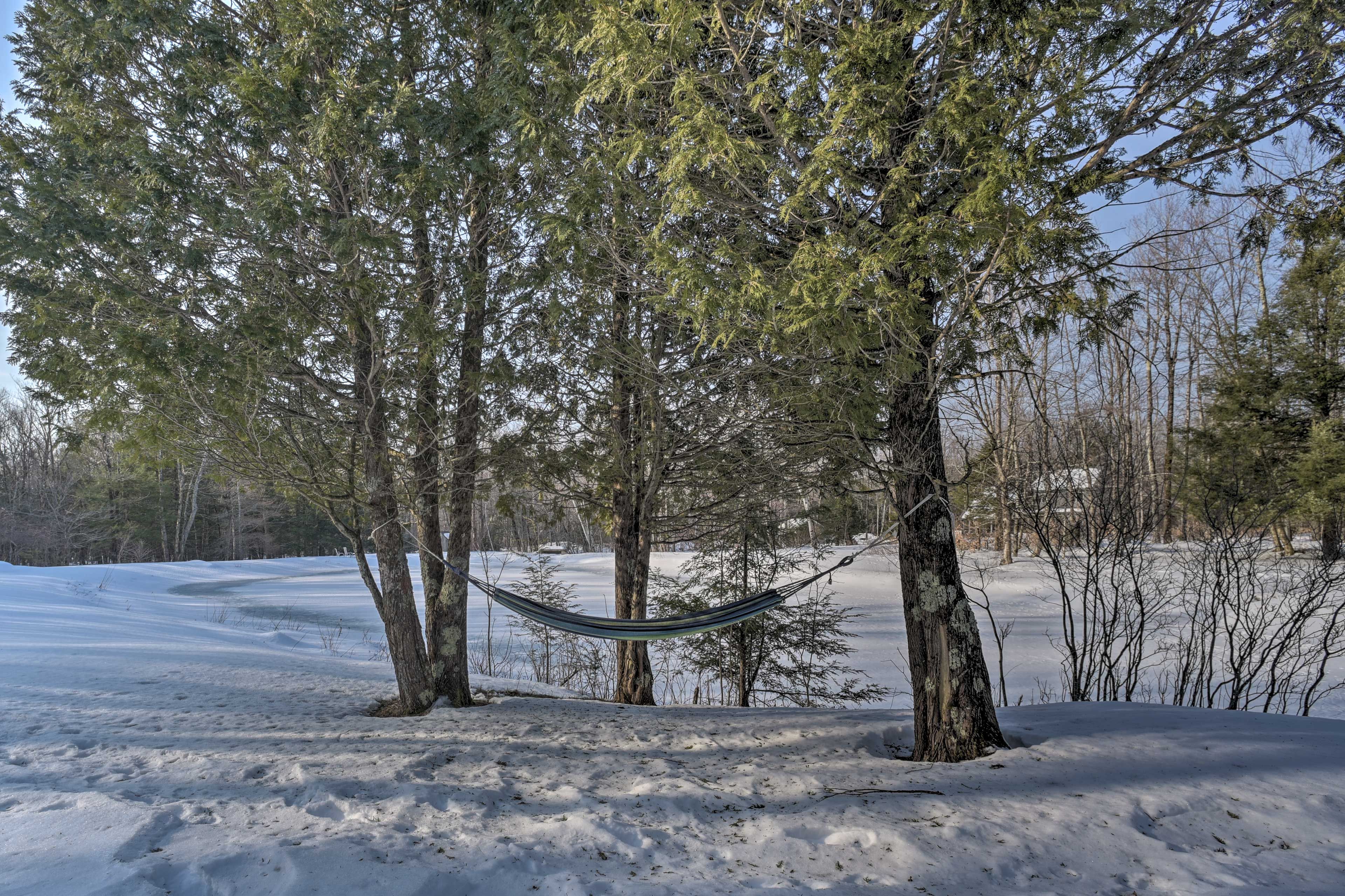 Image 39
