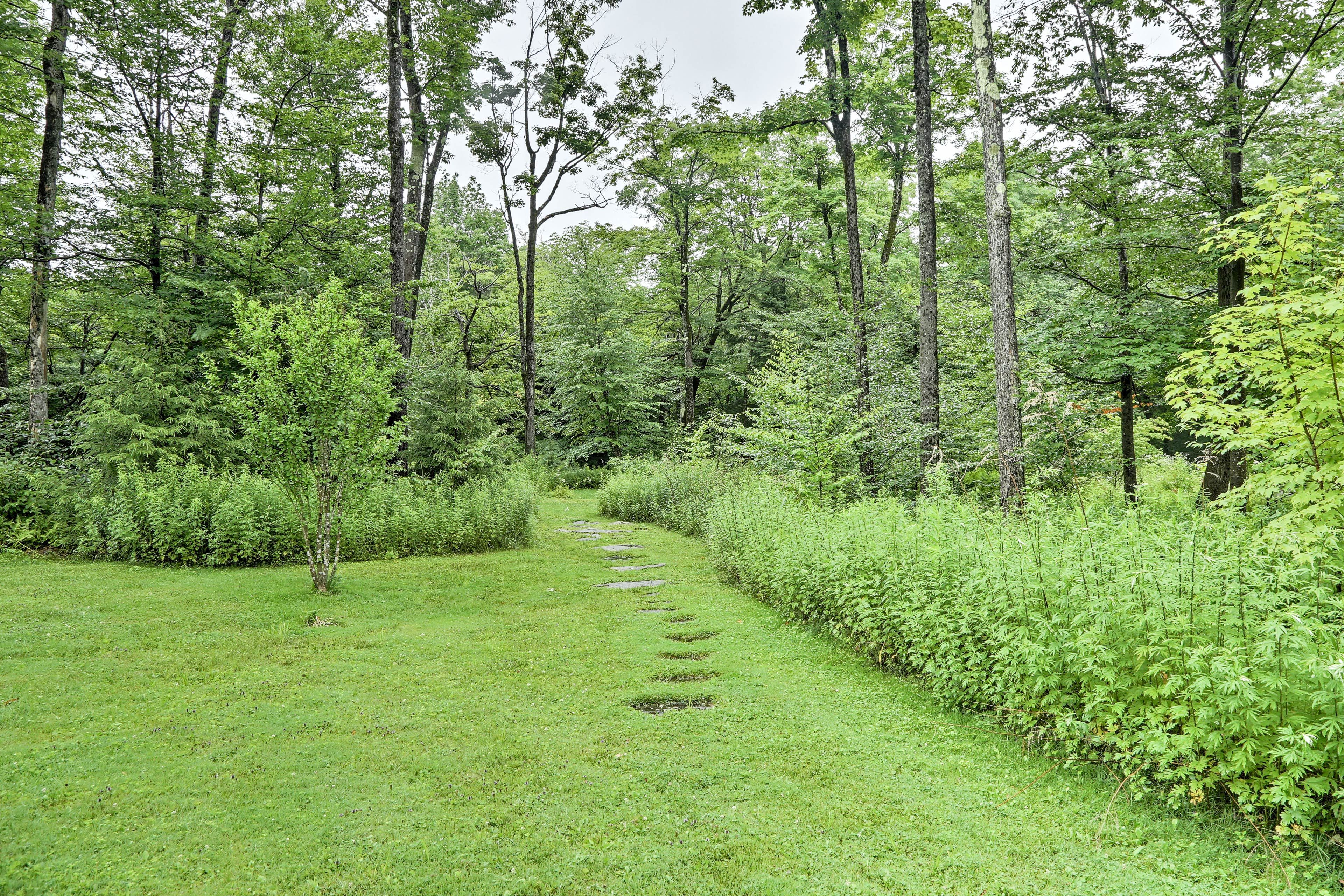Image 32
