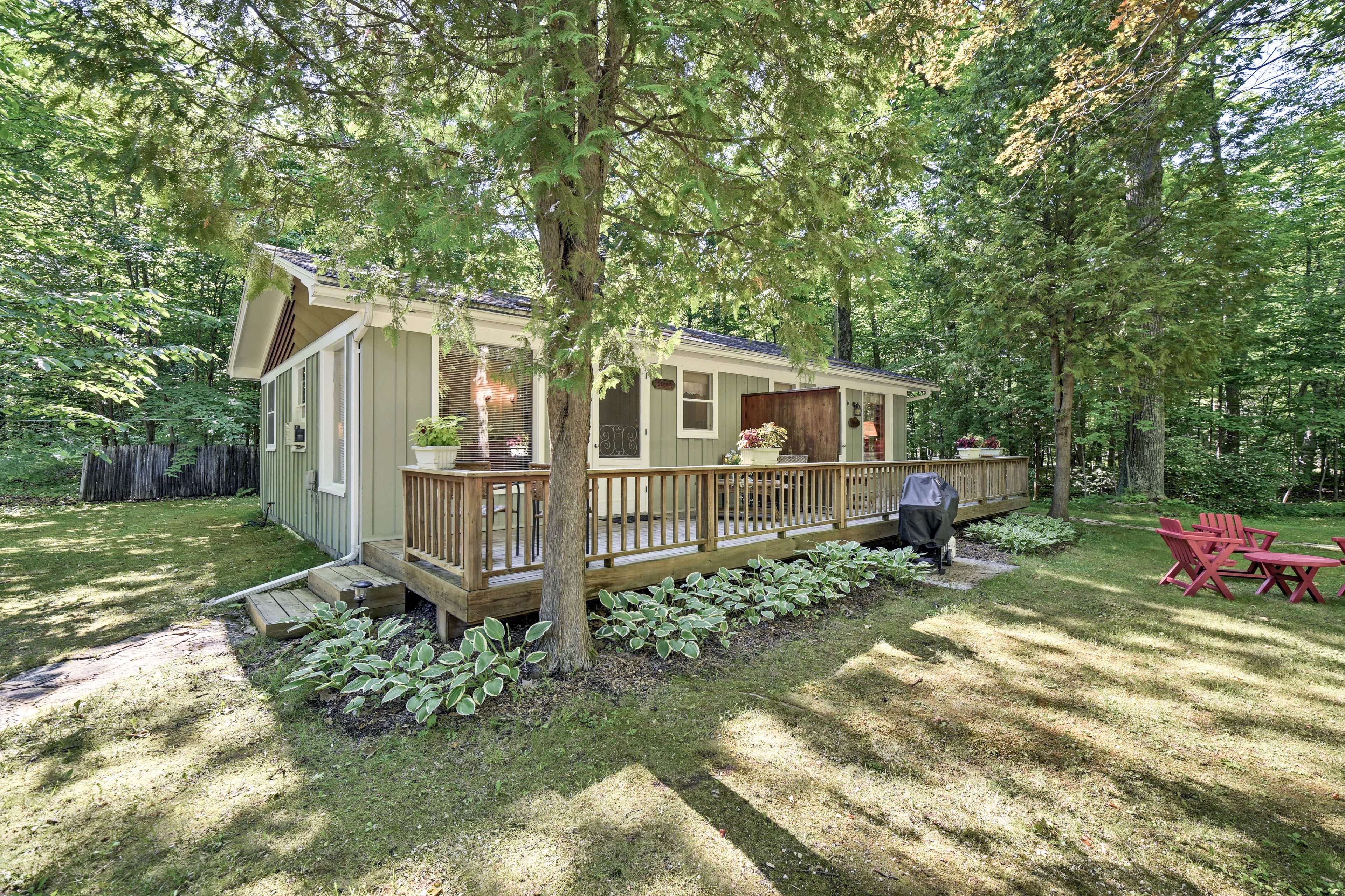 Exterior | Wooded Lot