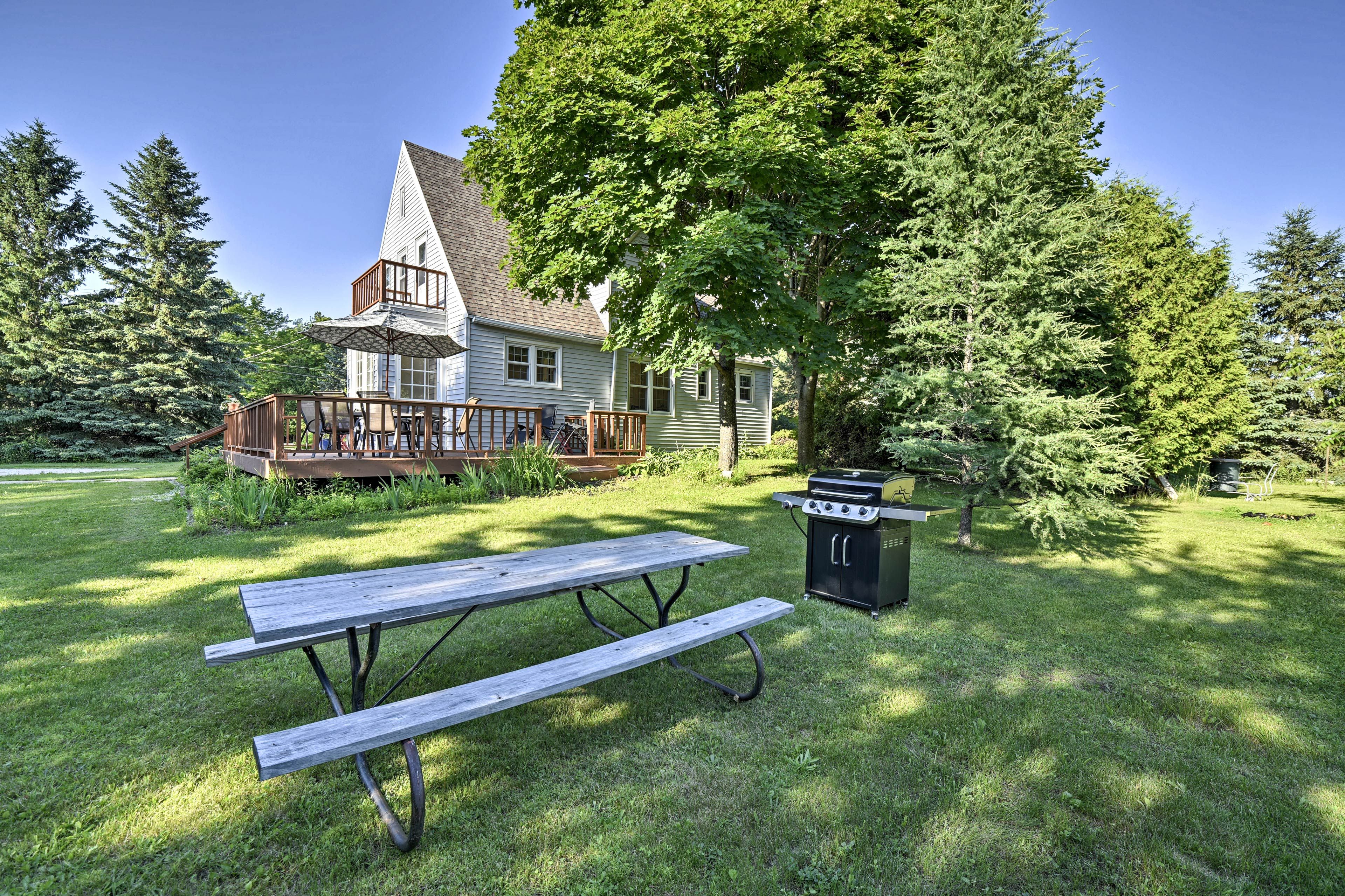 Backyard | Gas Grill