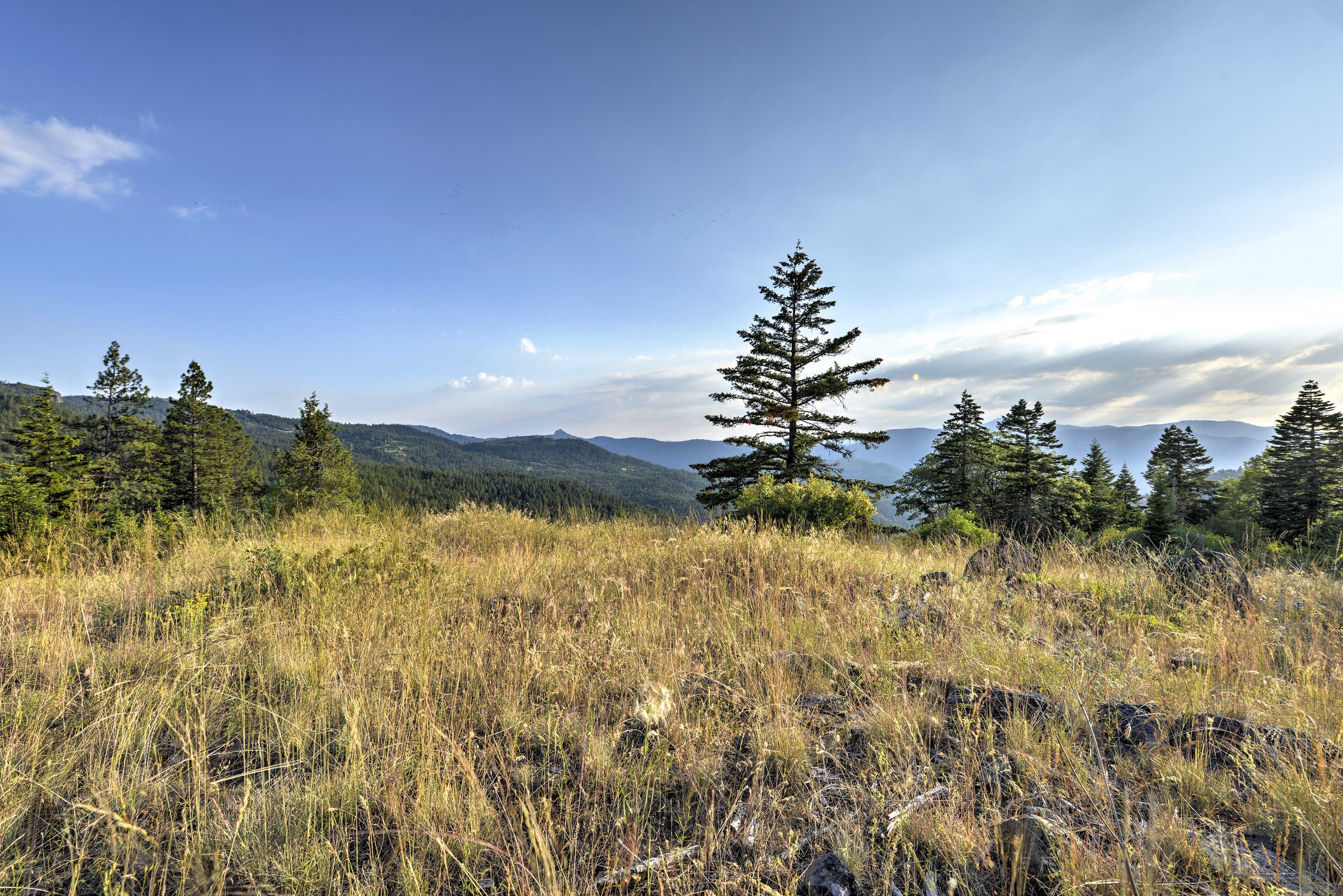 Spacious Yard | Scenic Views