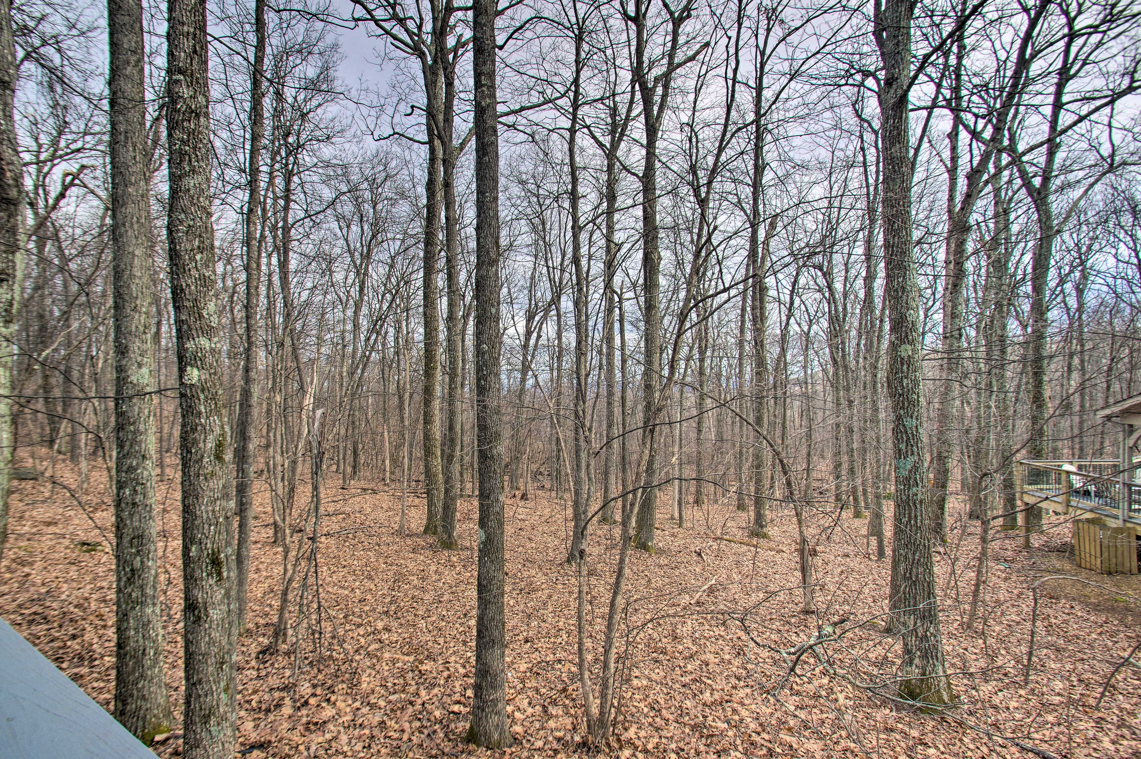 Image 38