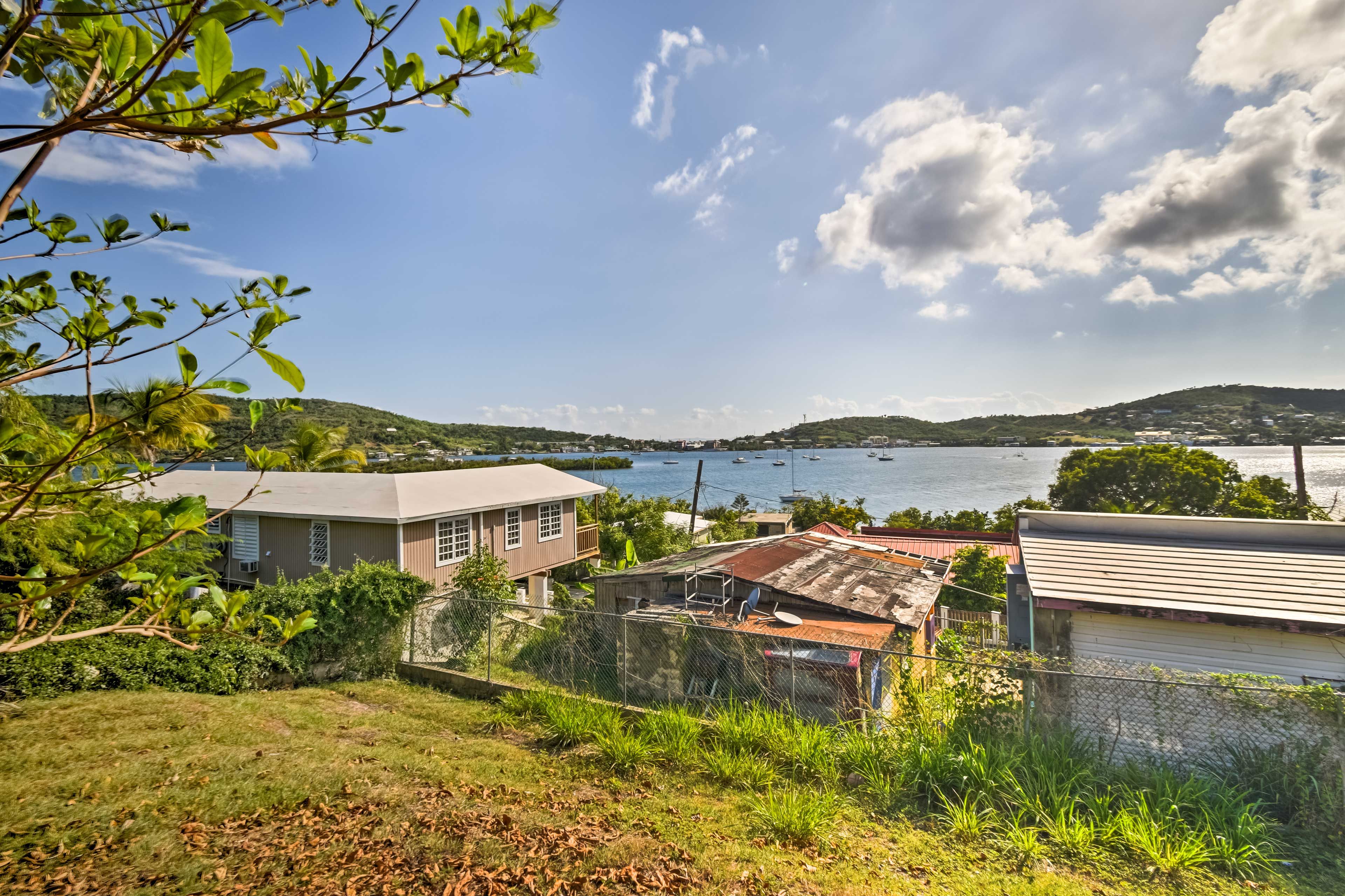 Property Views