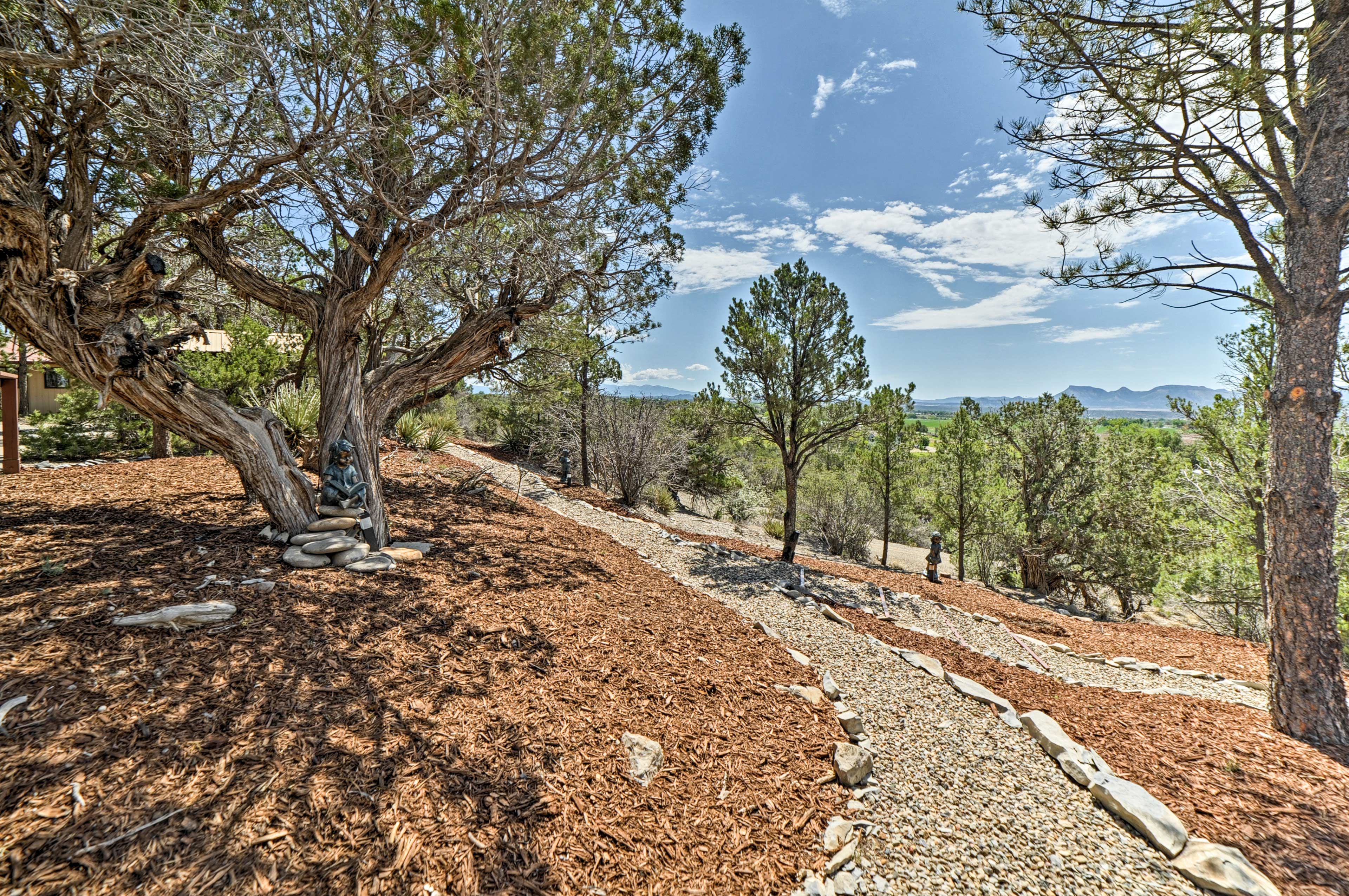 Explore the beautiful 19 acres of the property!