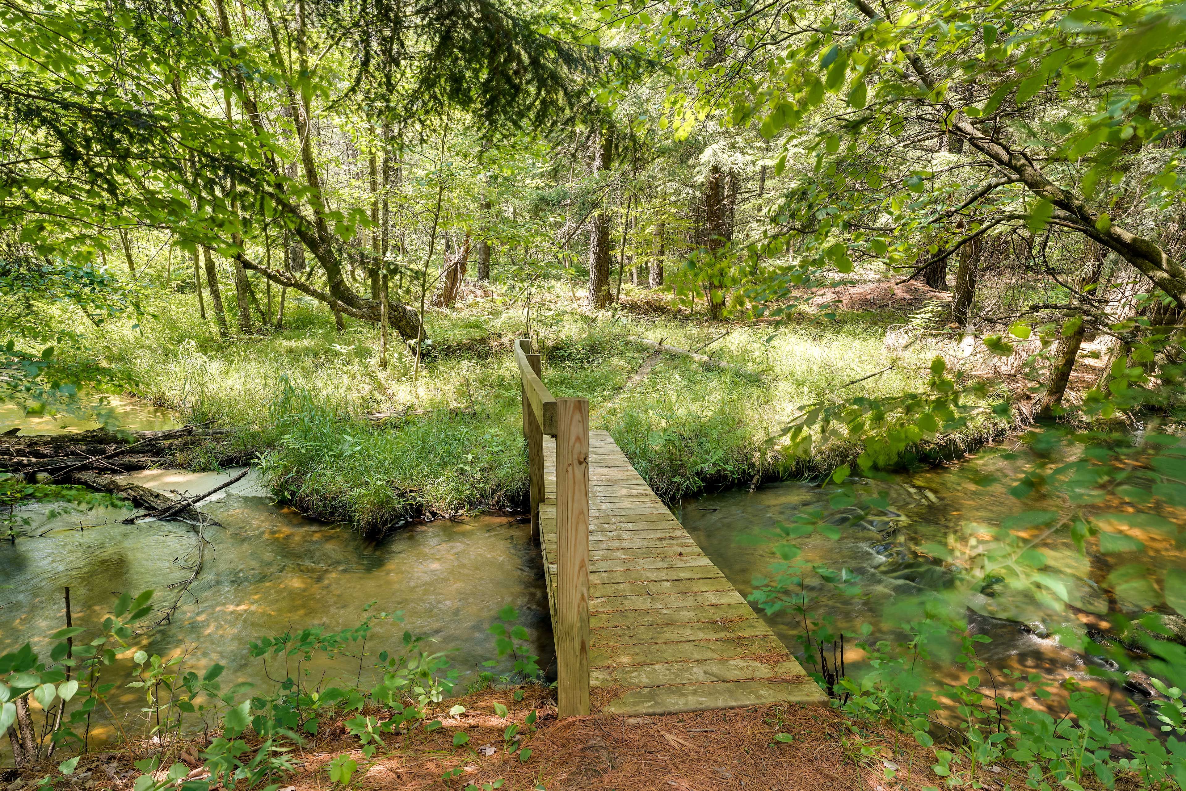 Private Nature Area w/ Bridge & Creek