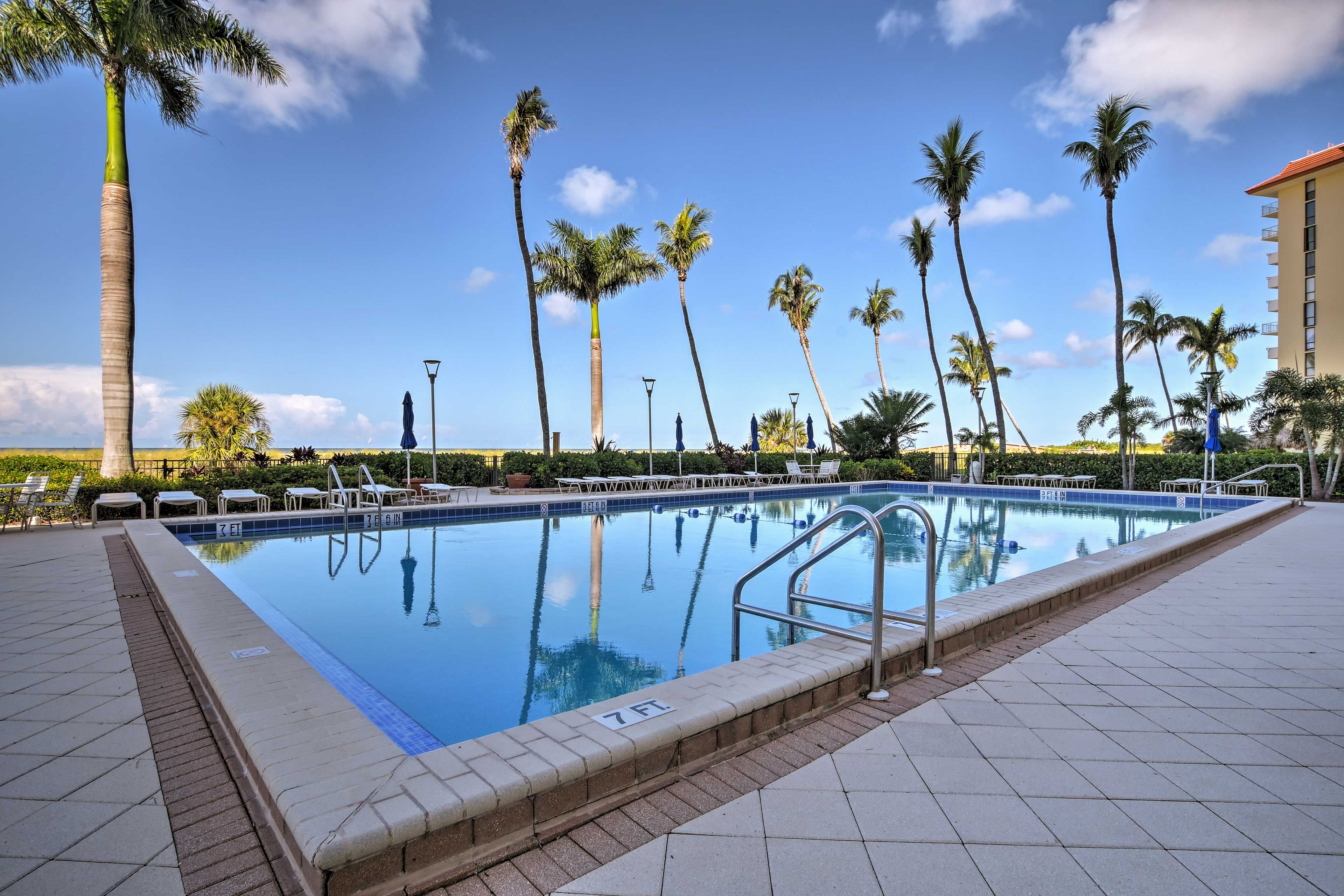 Lofty palm trees surround this poolside oasis.