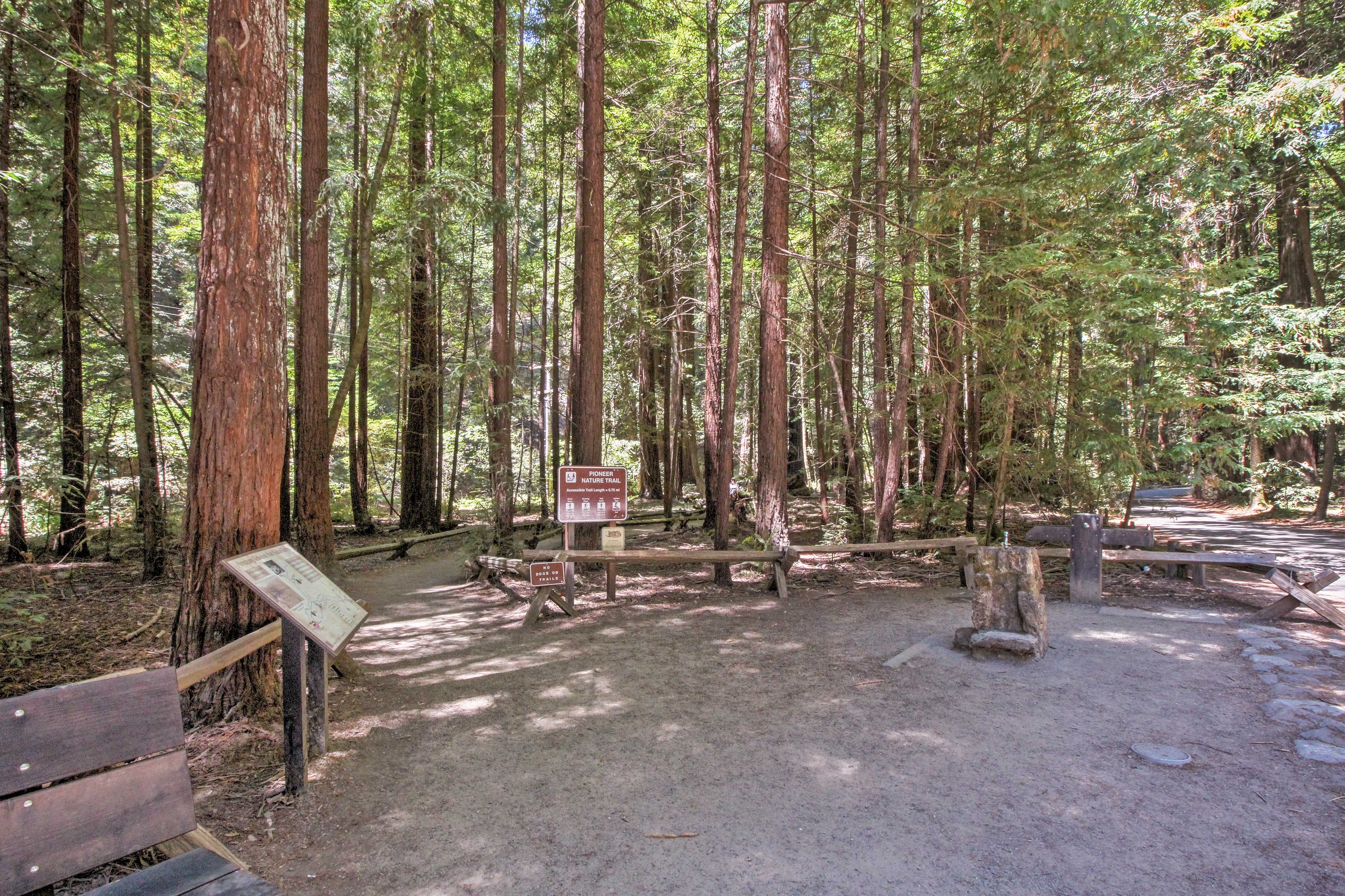 Armstrong Redwoods State Natural Reserve