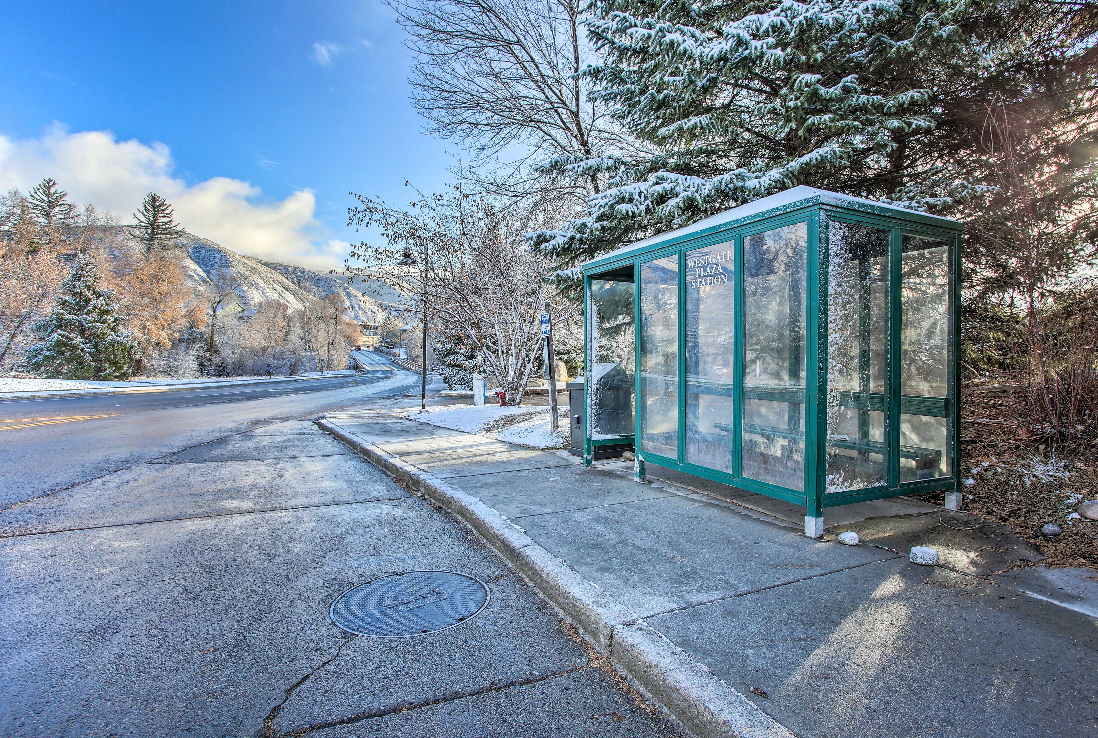 The shuttles across the street provide easy access to the nearby ski resorts!