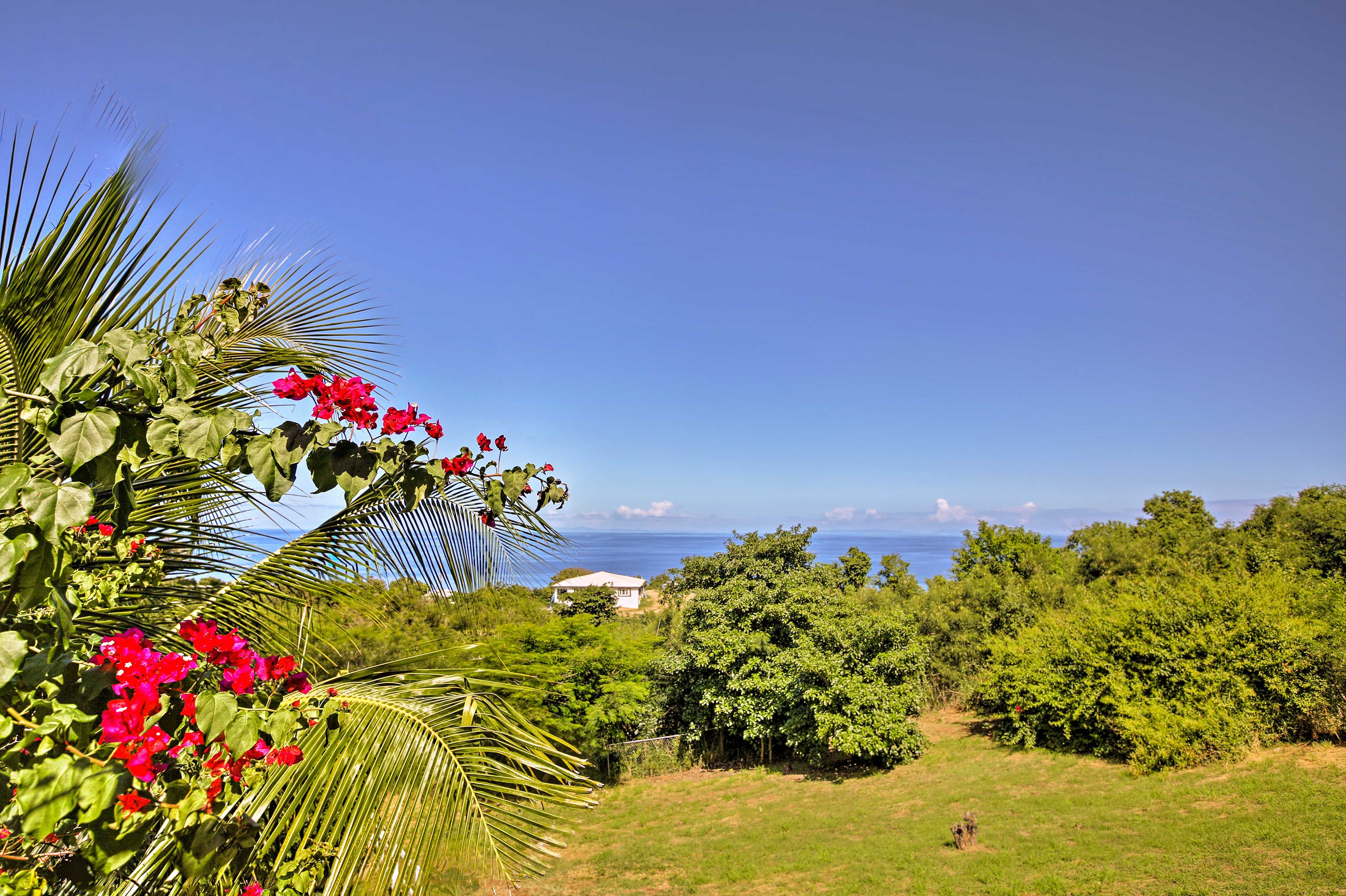 Views | Avocado, Mango, & Star Fruit Trees | ~ 1 Mi to Cane Beach