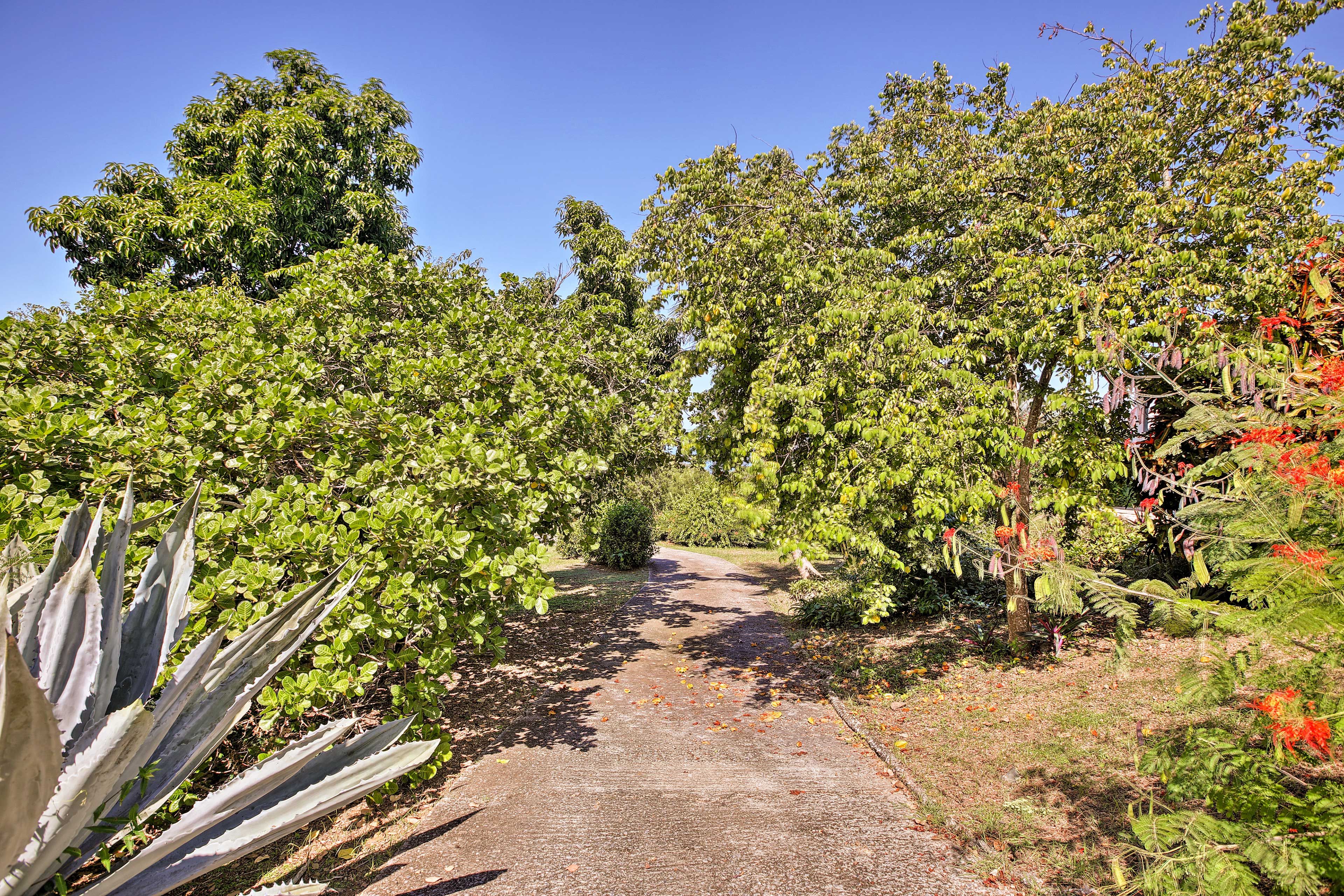 Parking | Driveway (3 Vehicles)