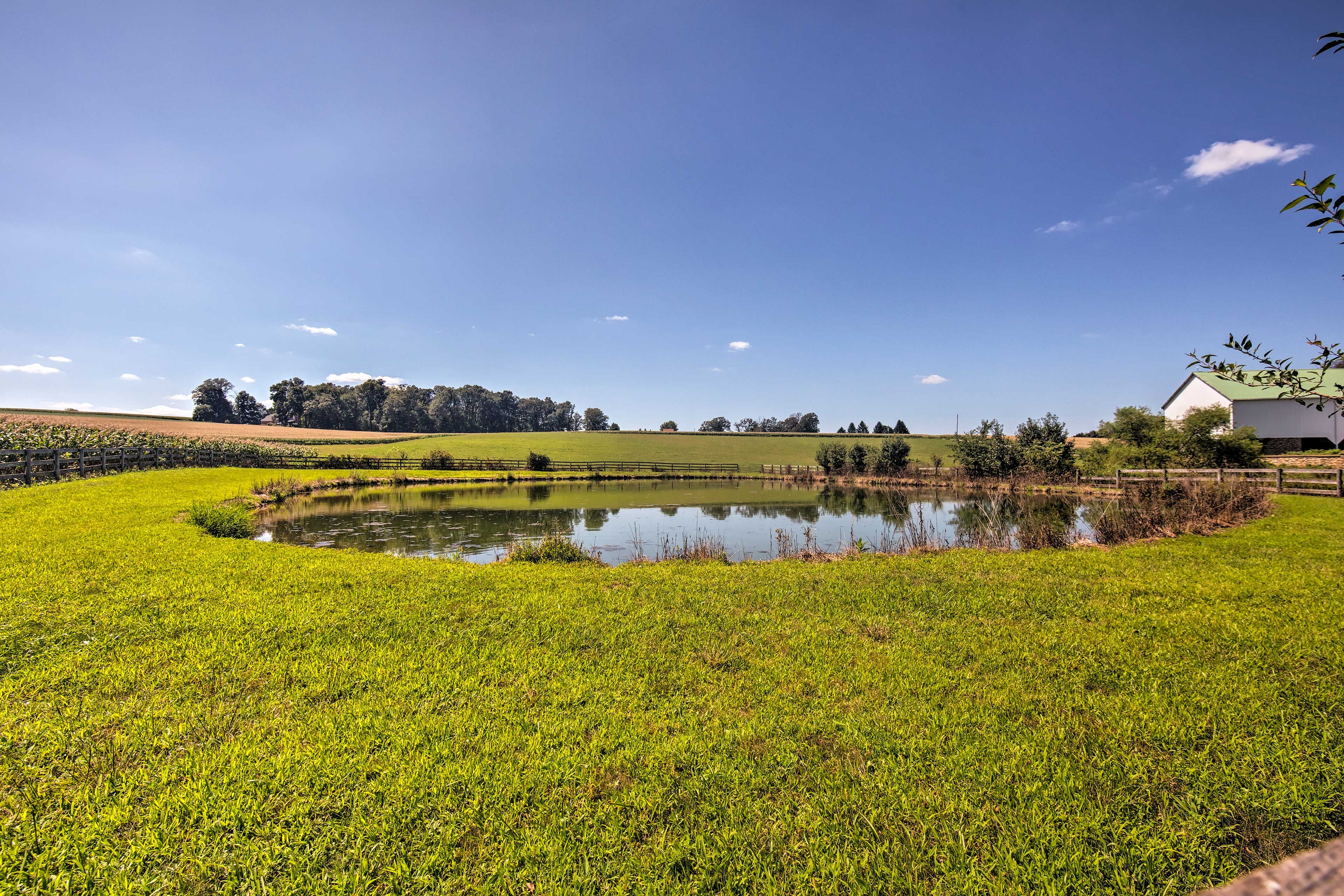 On-Site Pond