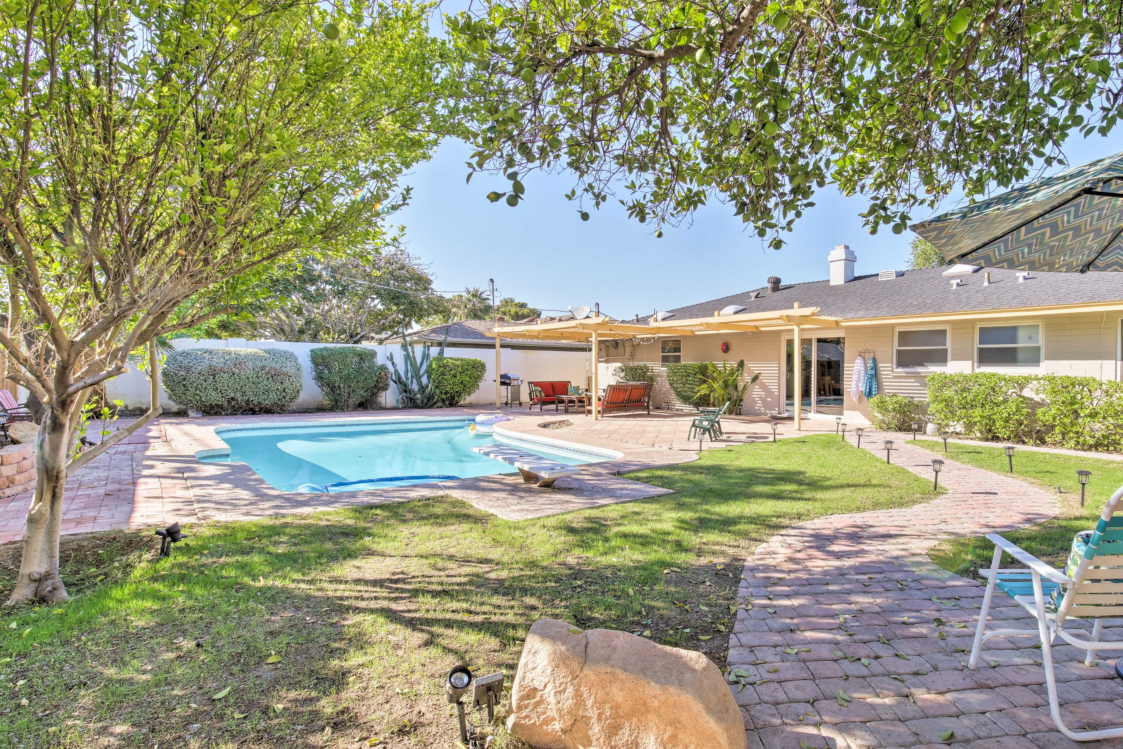 The home's expansive yard is filled with mature citrus trees.