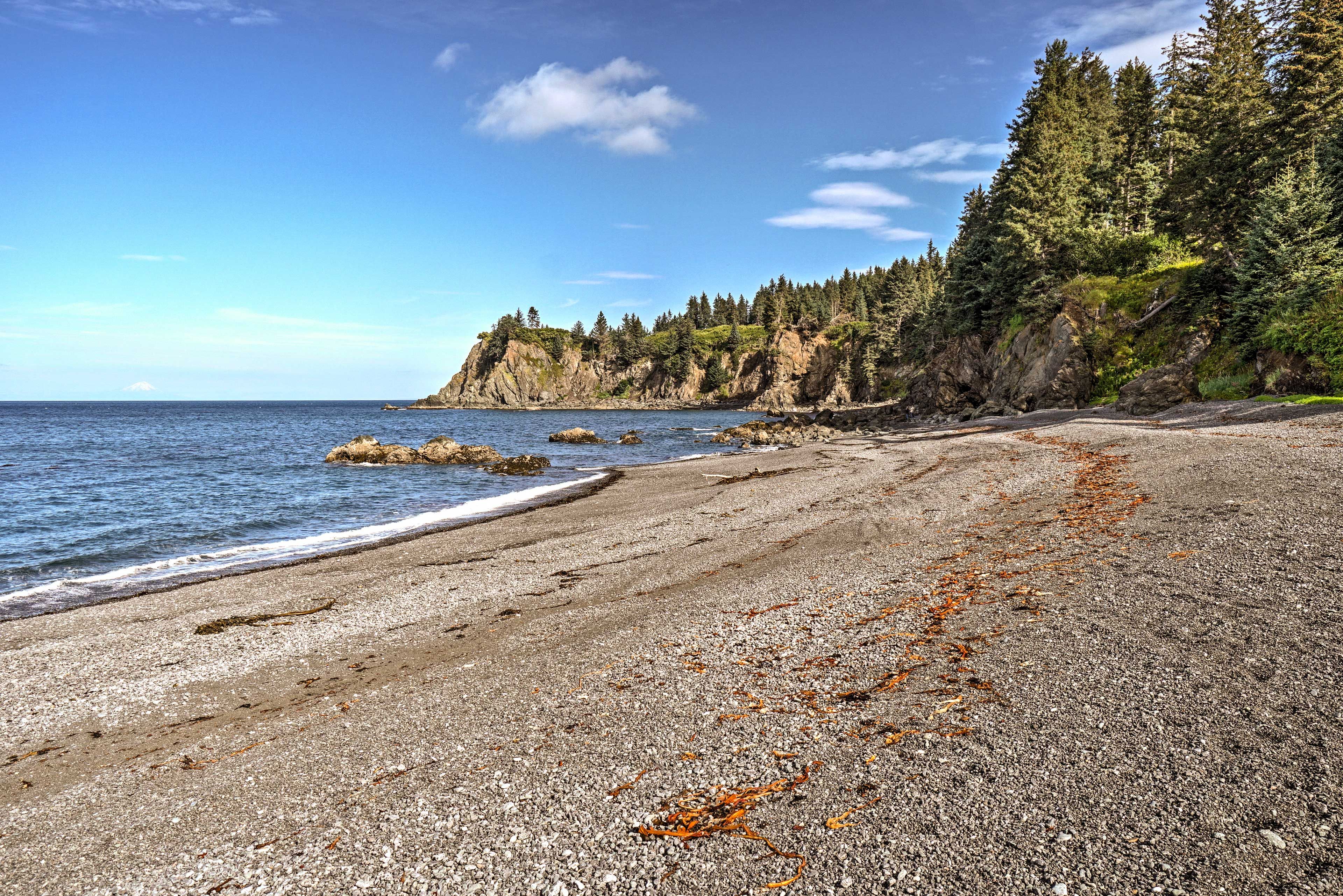 Walk along the shore and experience a whole new love for nature!
