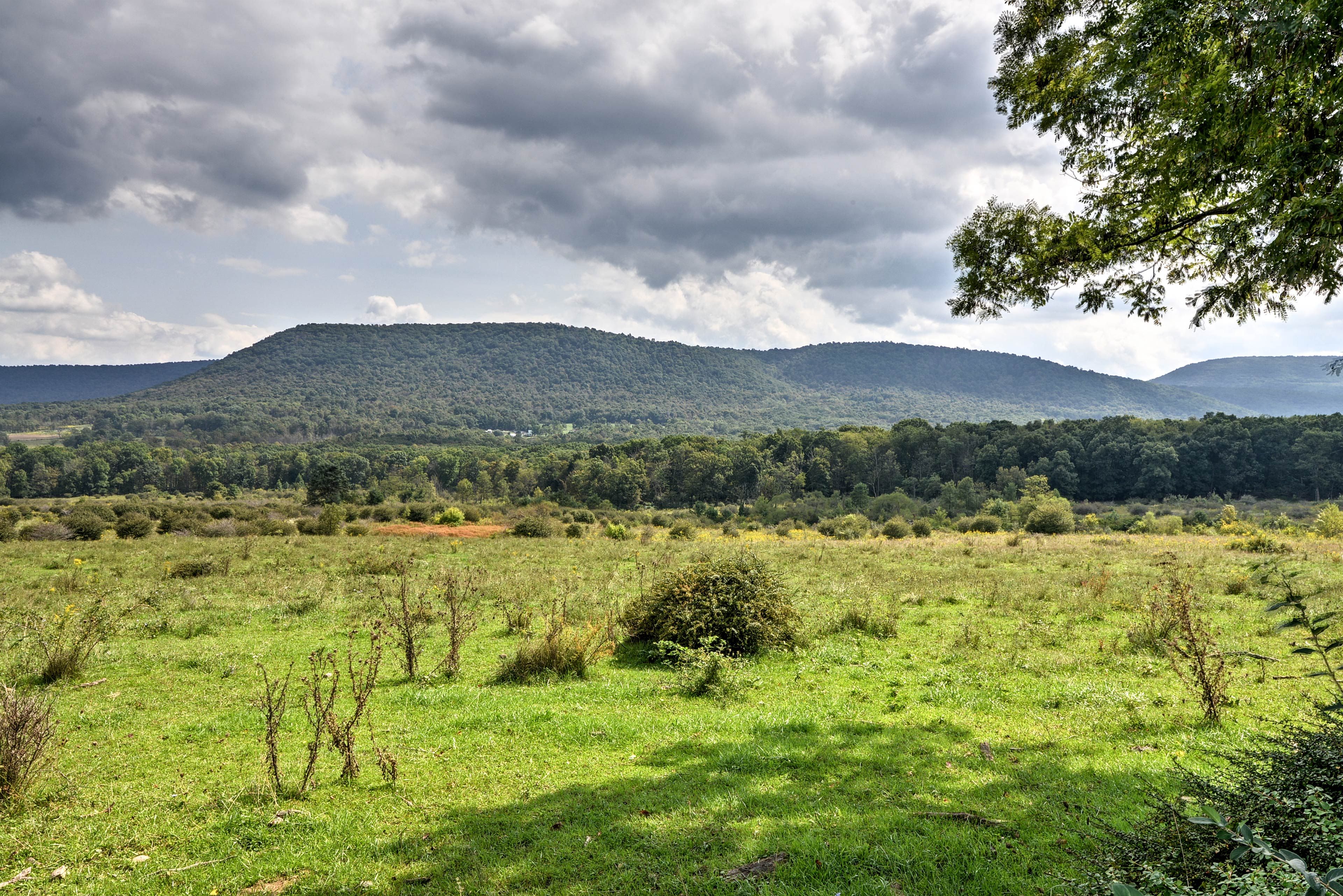 Surrounding Area | Hunting, Hiking & Fishing Nearby