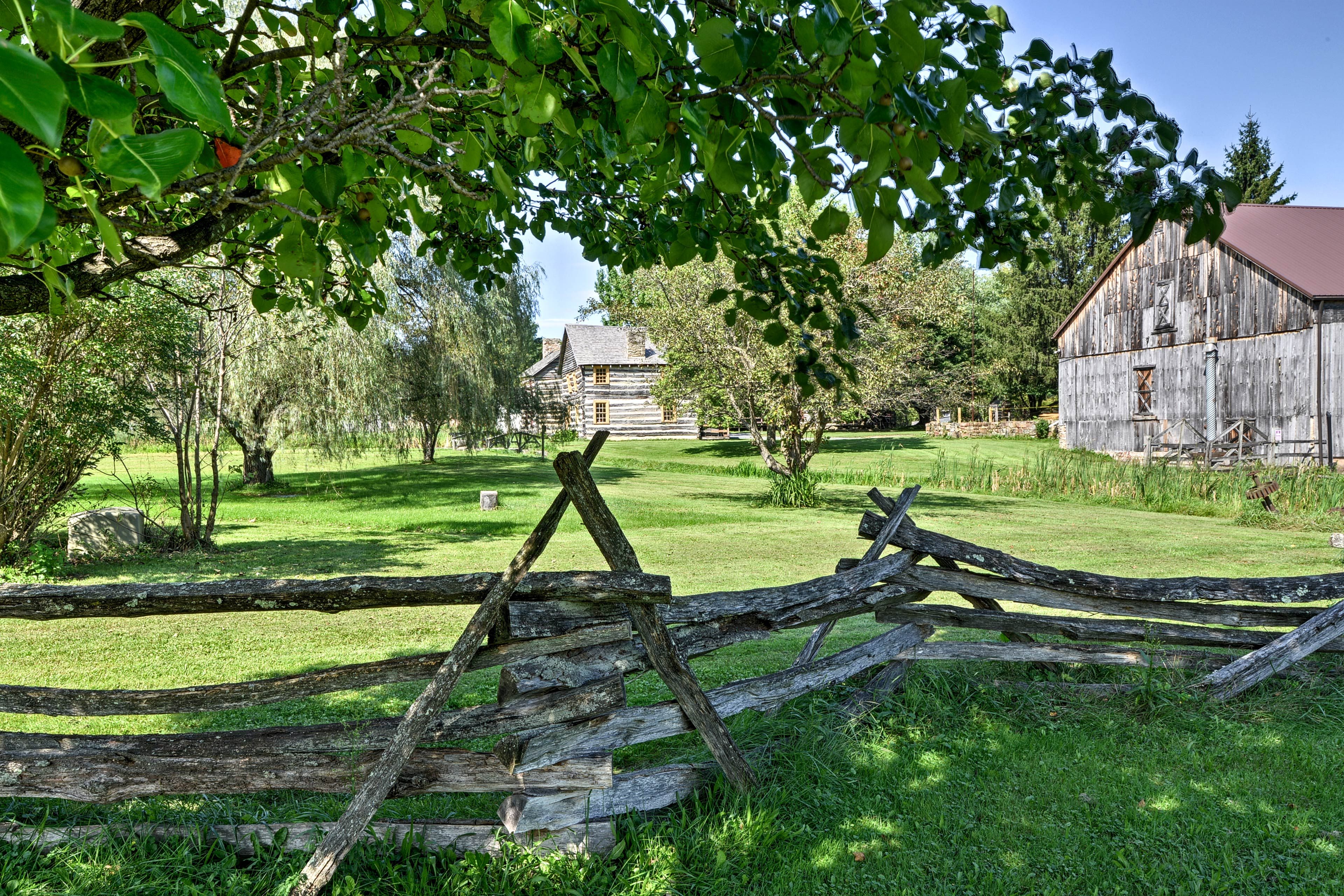 Image 21