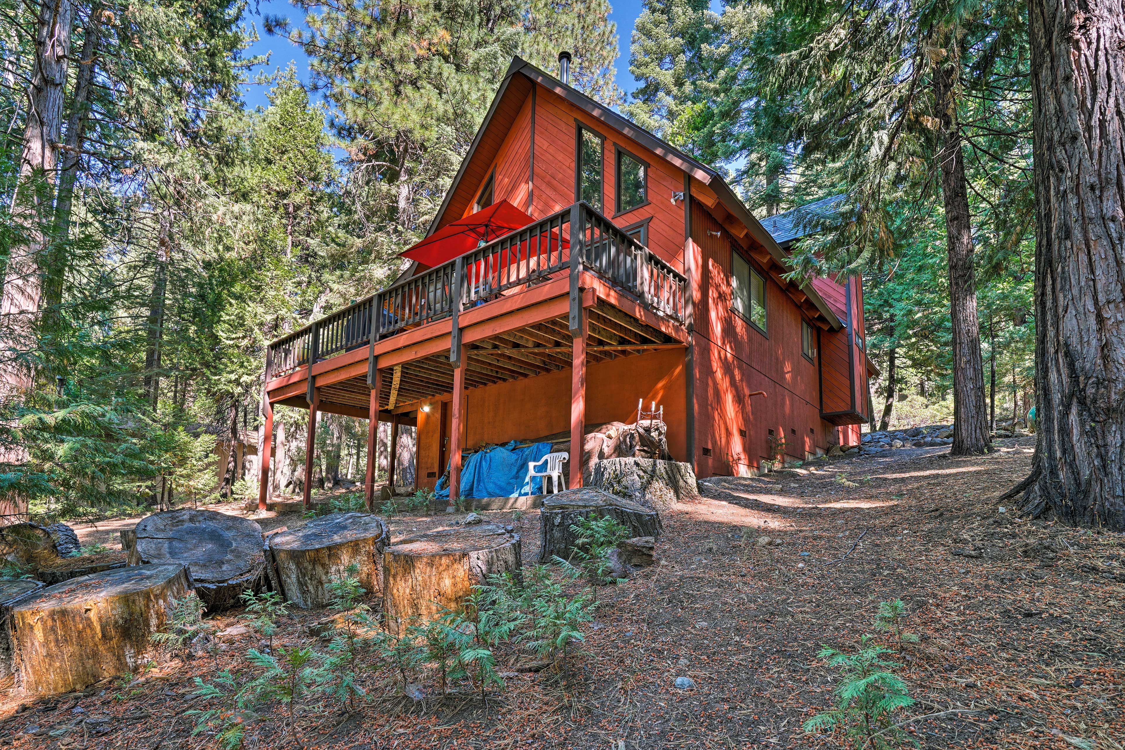 The fire pit is located just down the hill from the cabin.