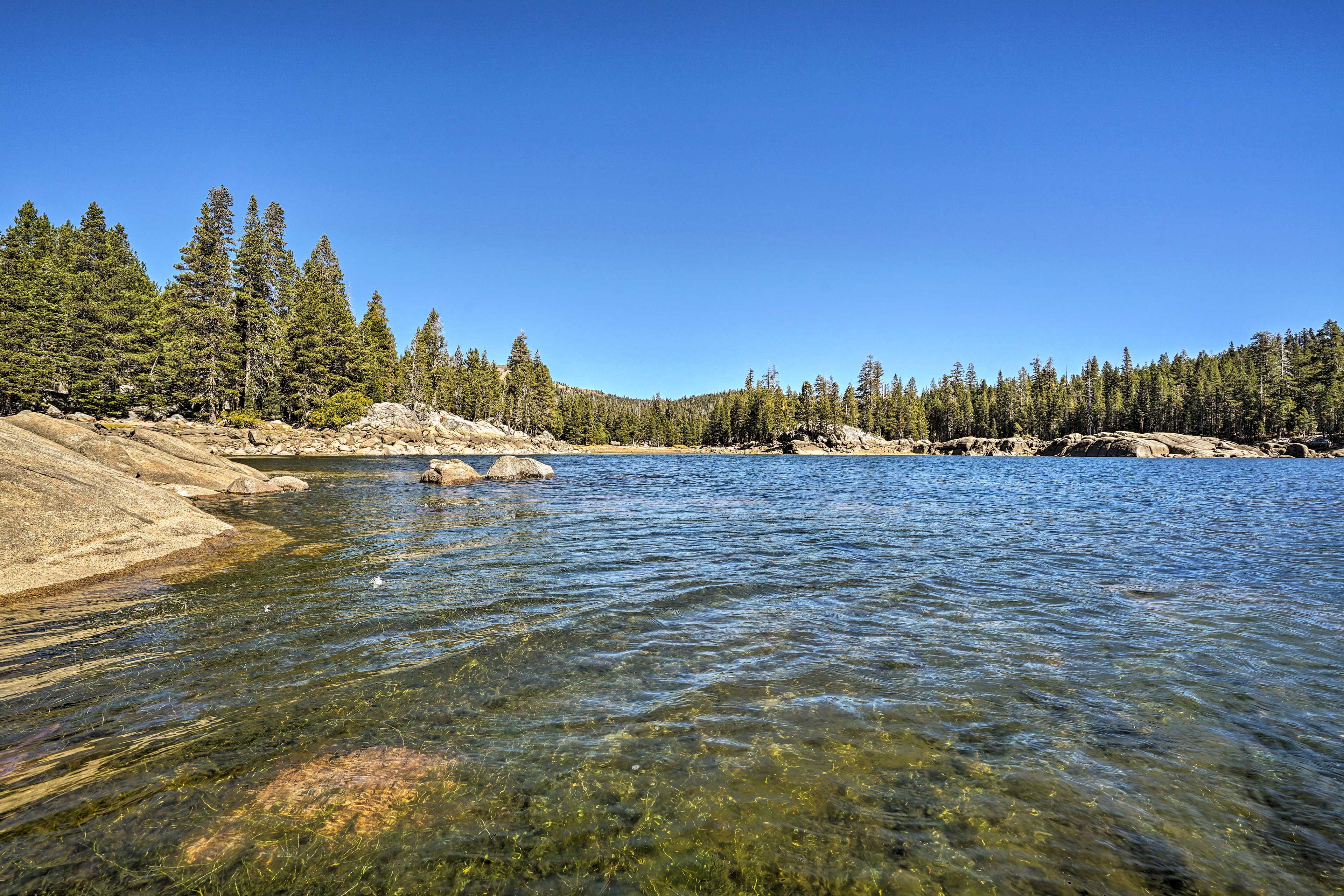 You'll fall in love with the Sierra Nevada mountain region from this cabin!