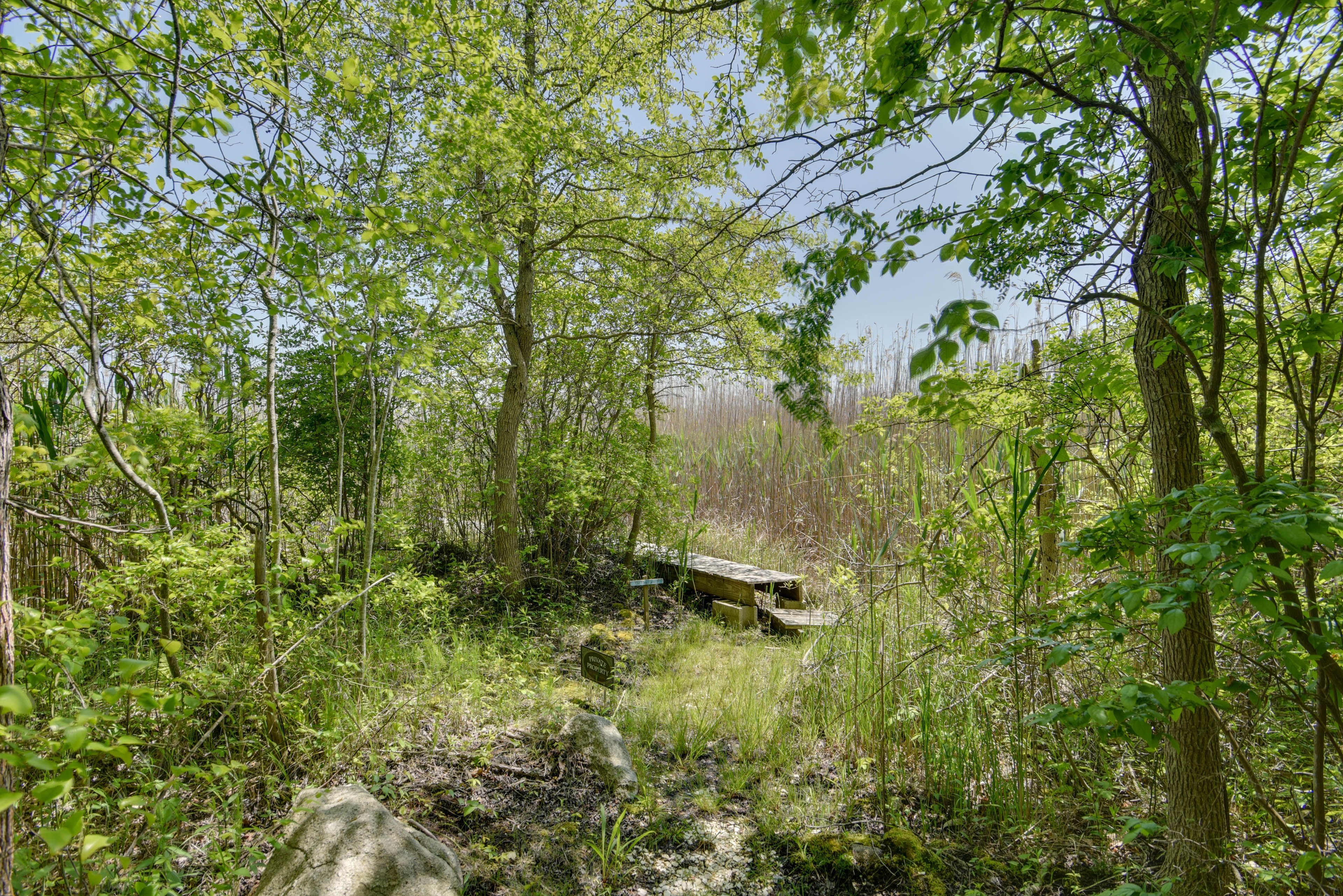Image 35
