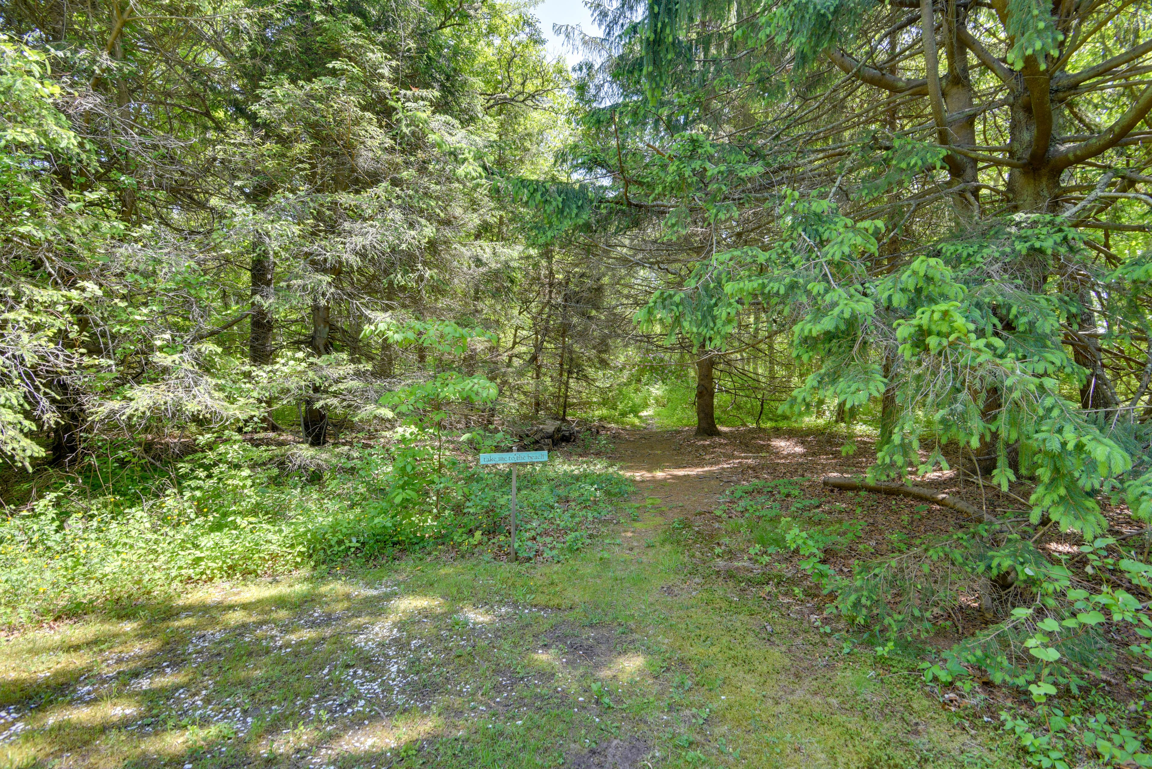 Trail to Beach