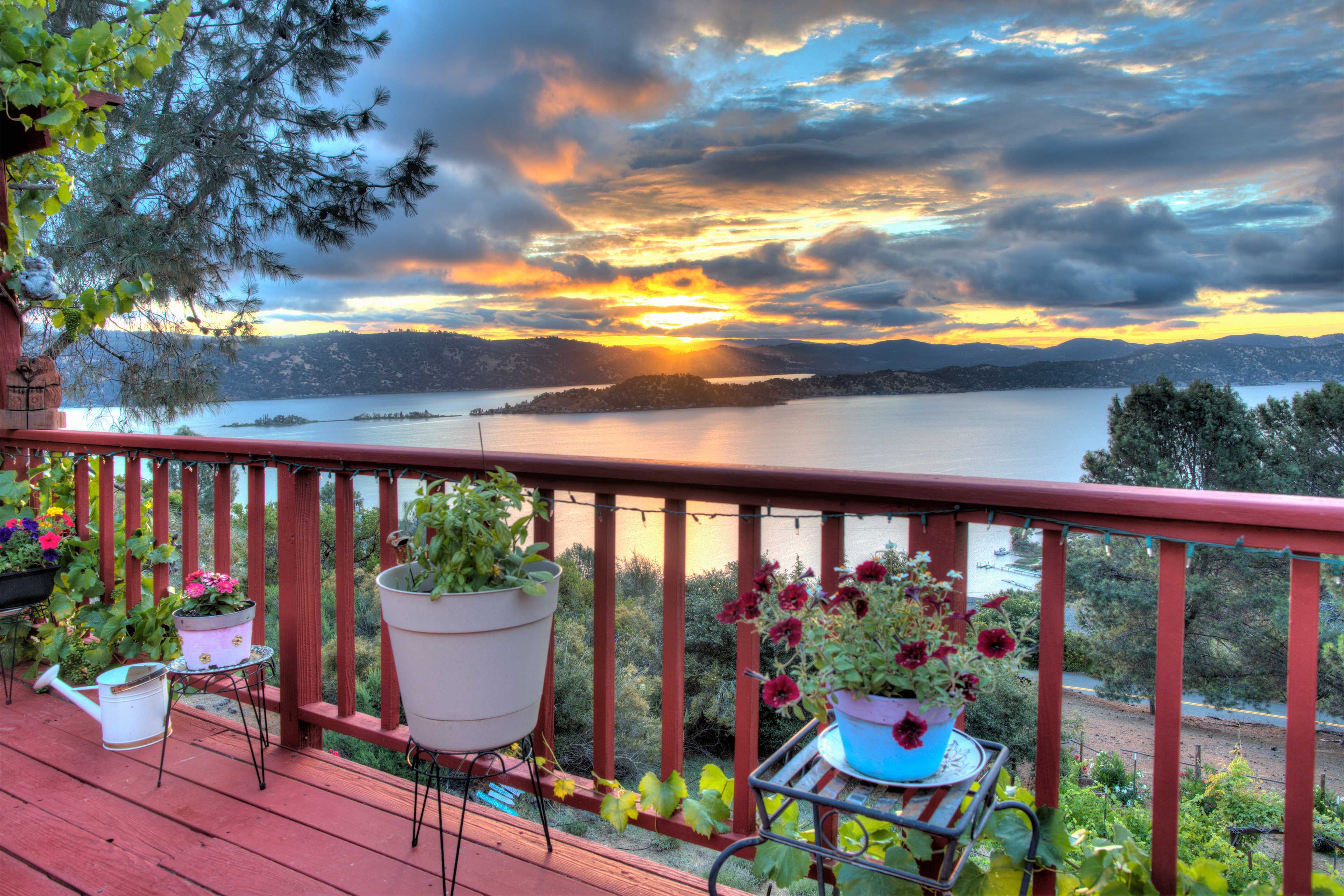 Deck Views