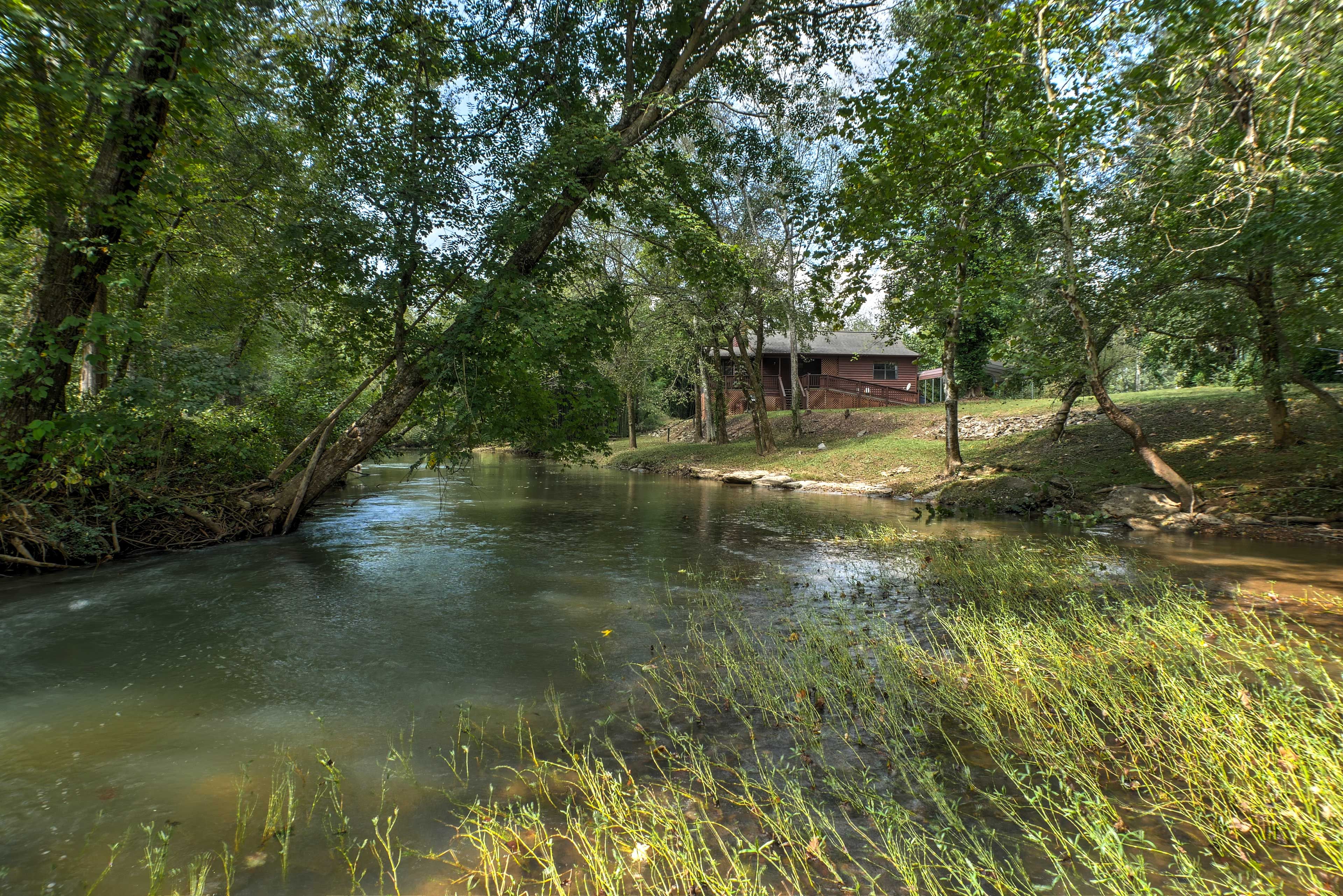 Image 25